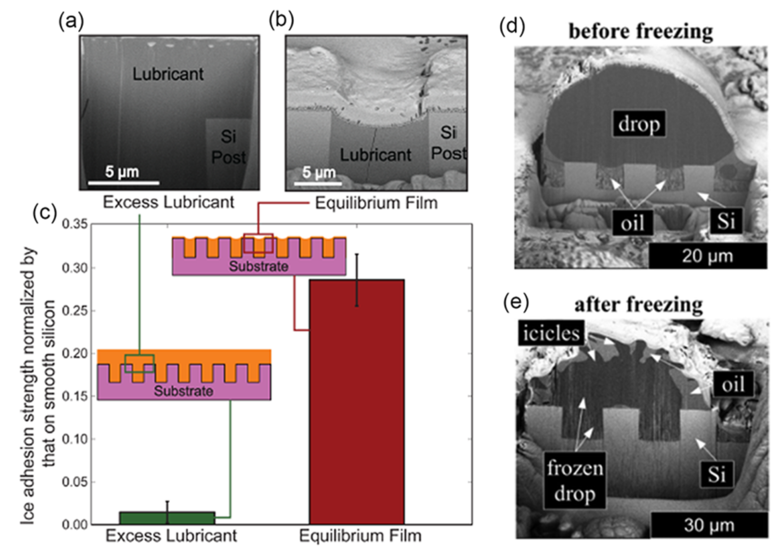 Coatings 11 01343 g010 550