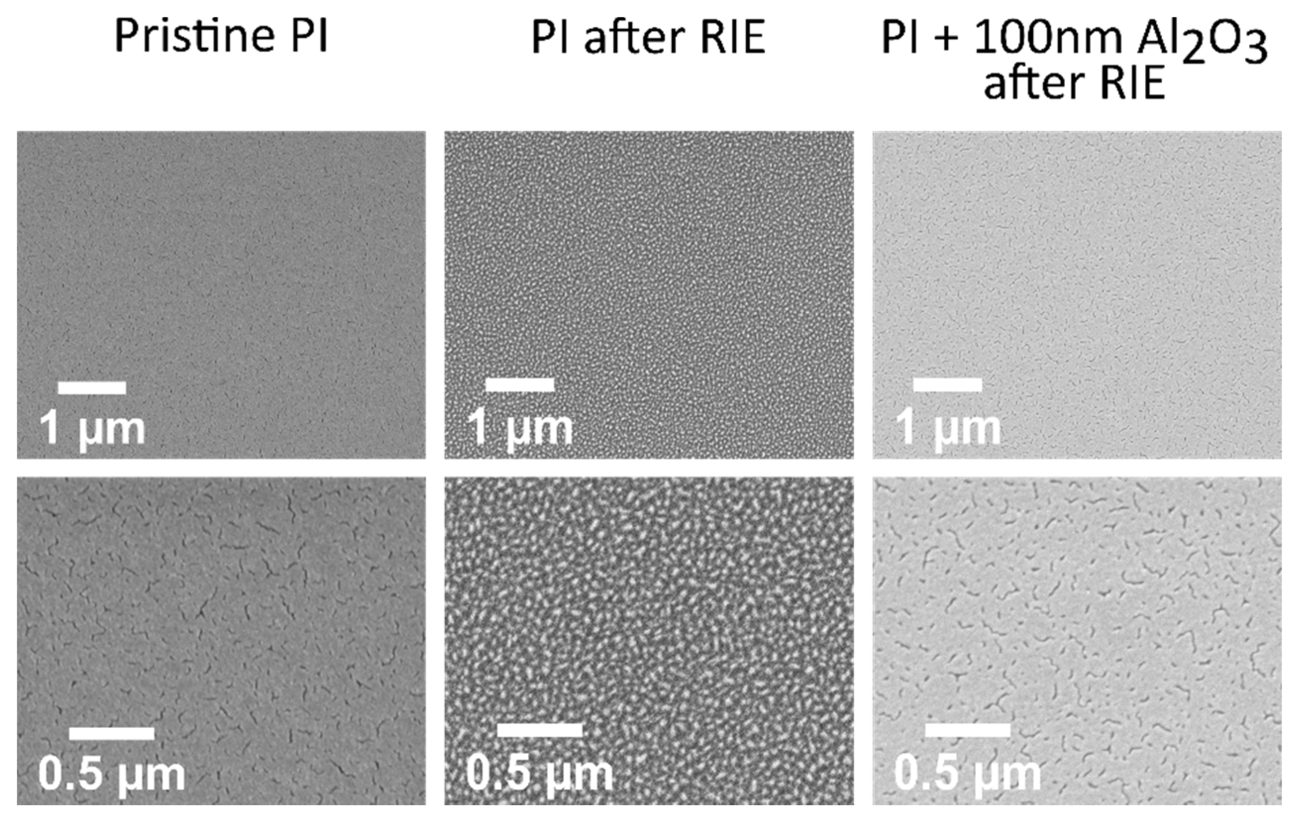 Coatings 11 01352 g002
