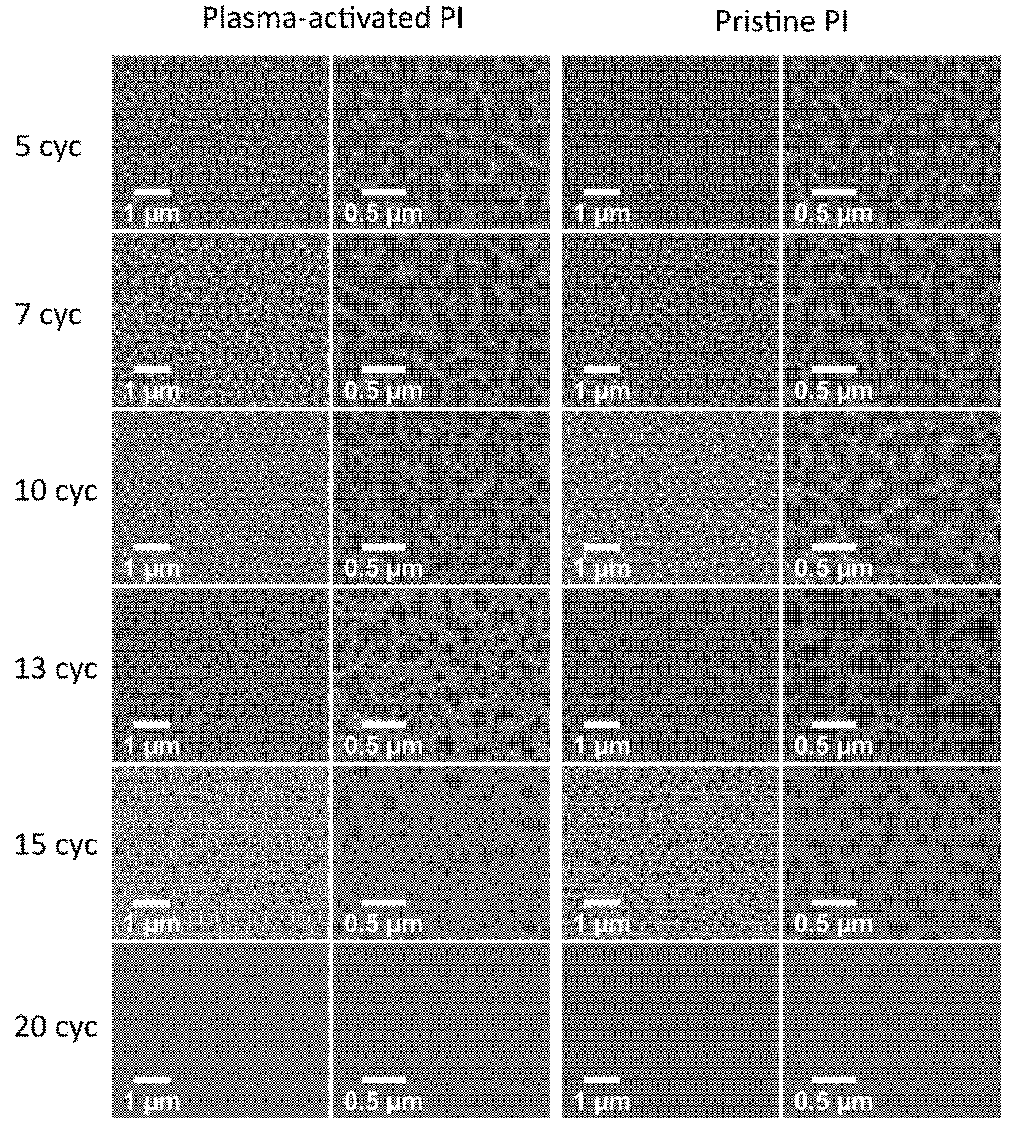 Coatings 11 01352 g007