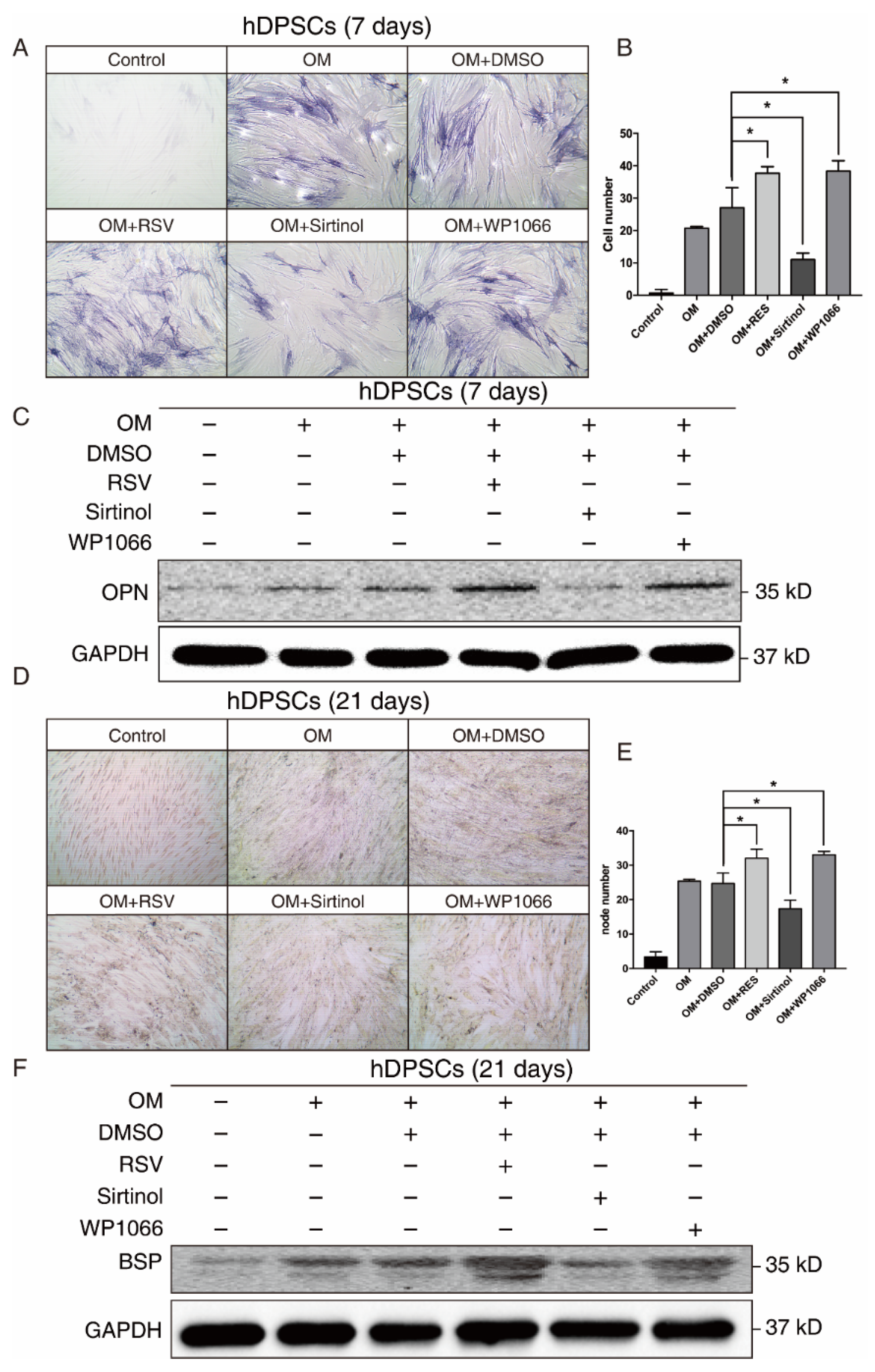 Coatings 11 01353 g004