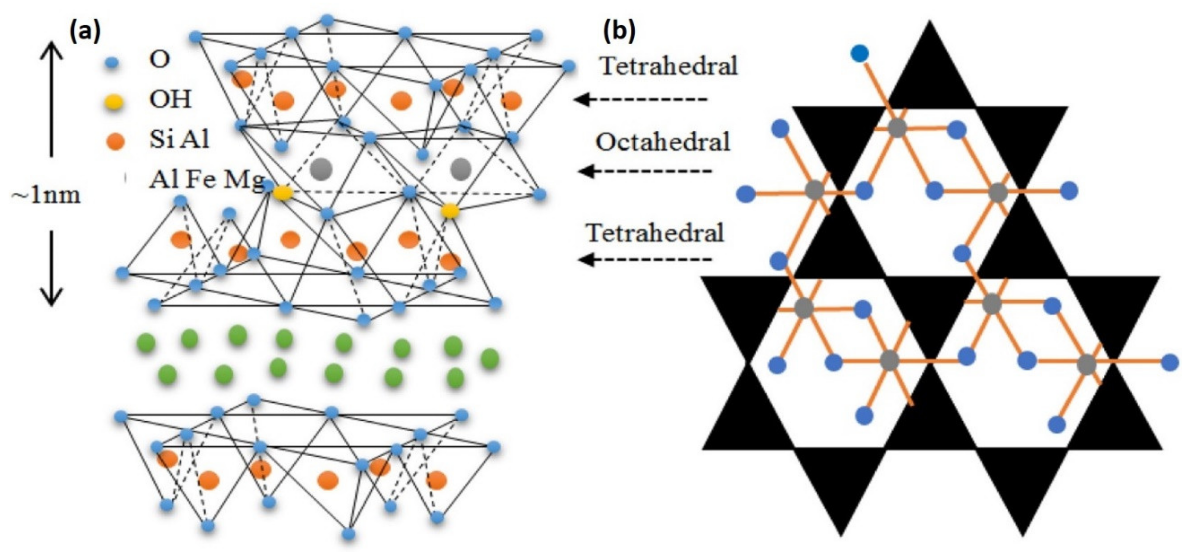 Coatings 11 01355 g001 550