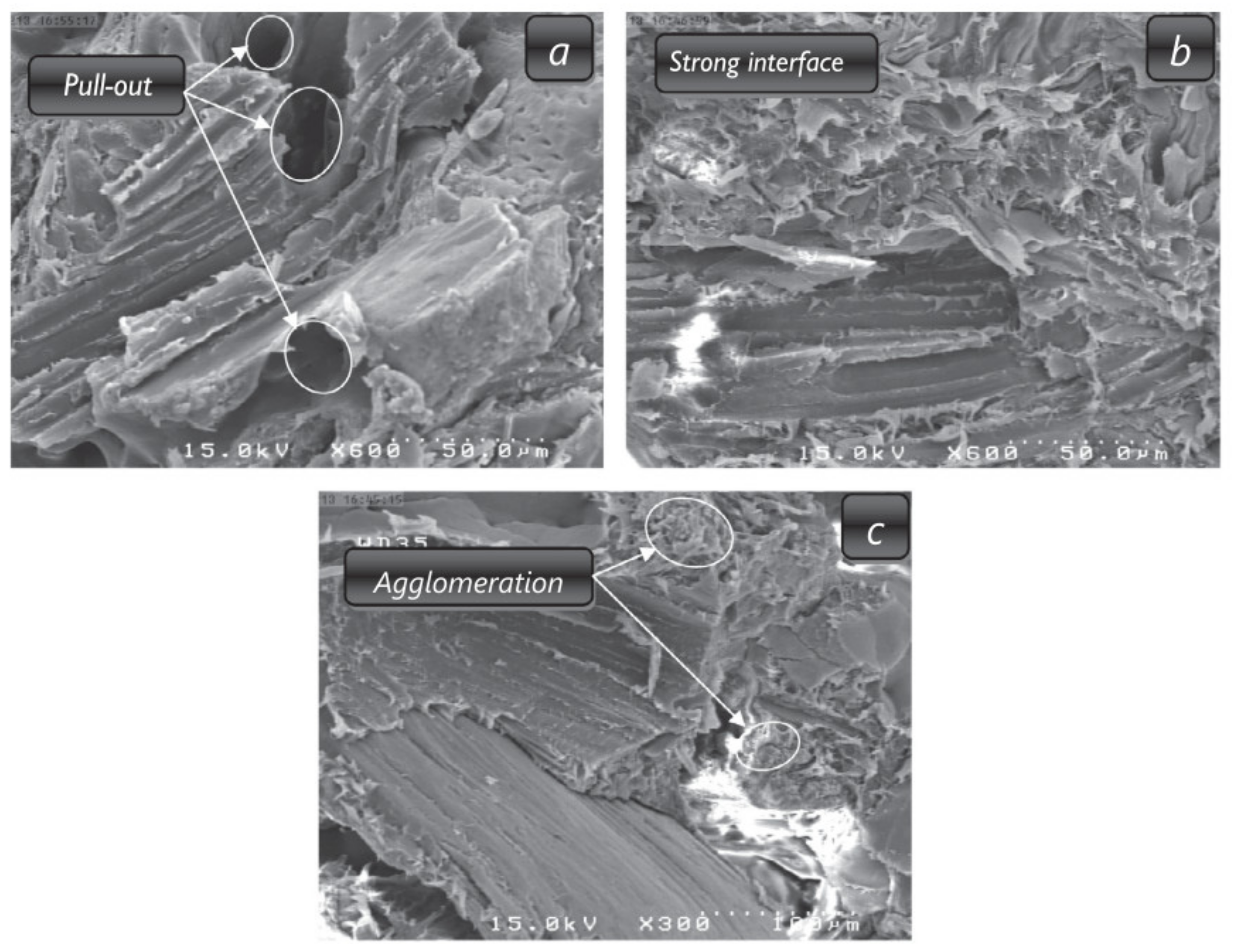 Coatings 11 01355 g004 550