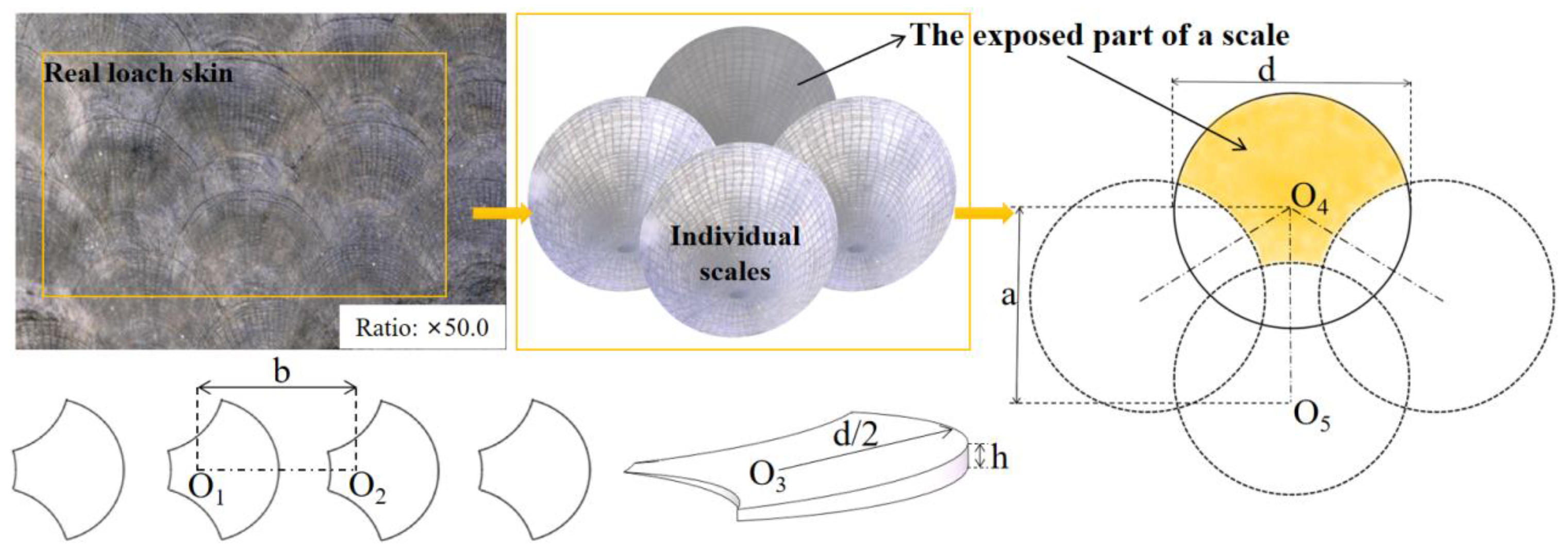 Coatings 11 01357 g007