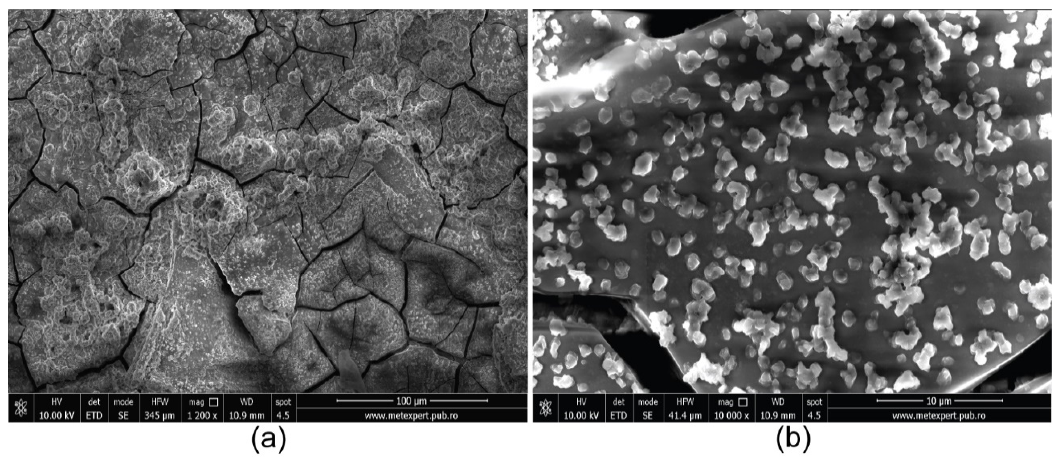 Coatings 11 01367 g002 550