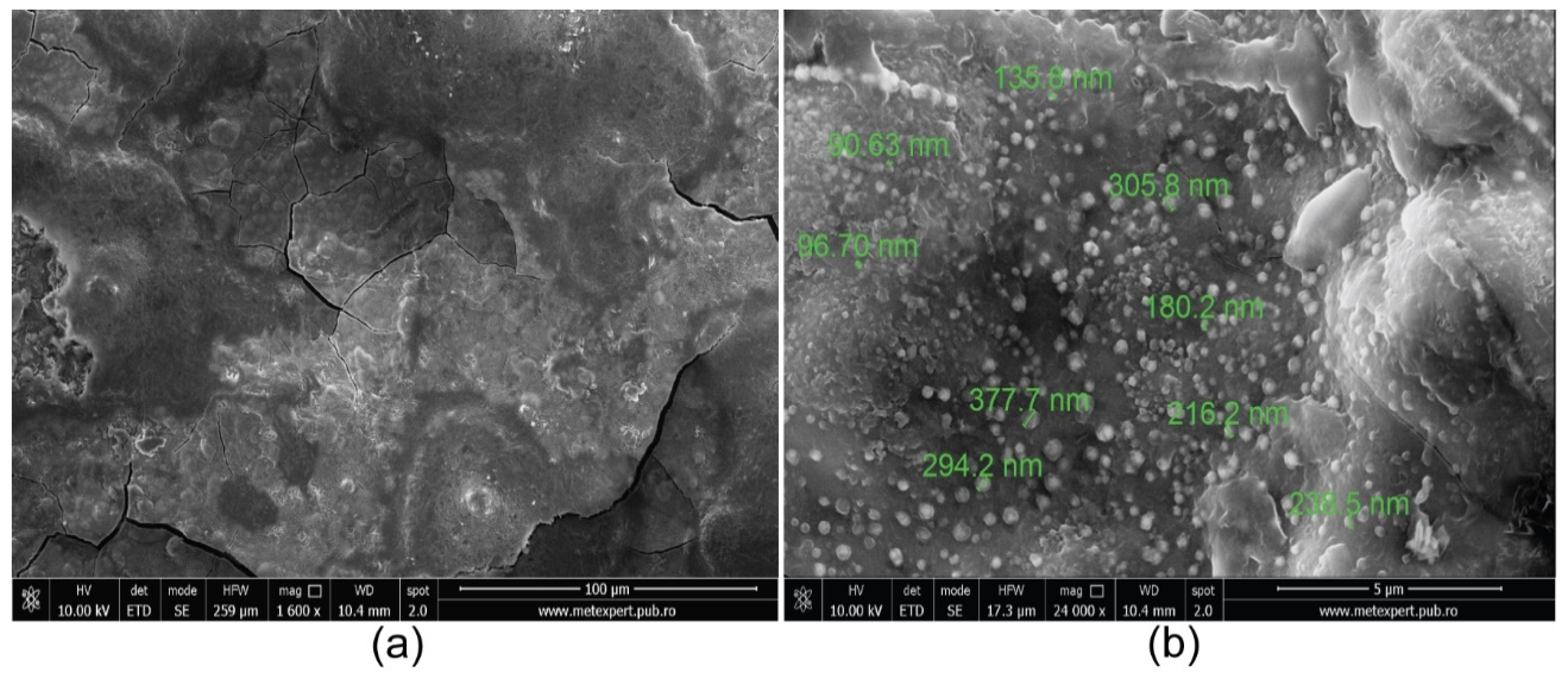 Coatings 11 01367 g003 550