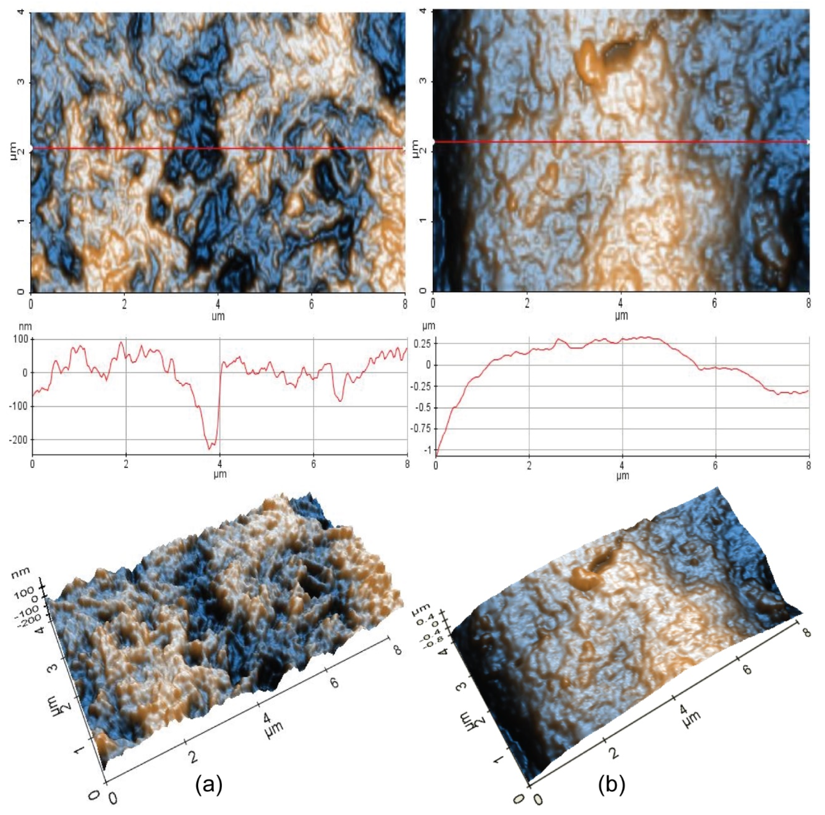 Coatings 11 01367 g009 550