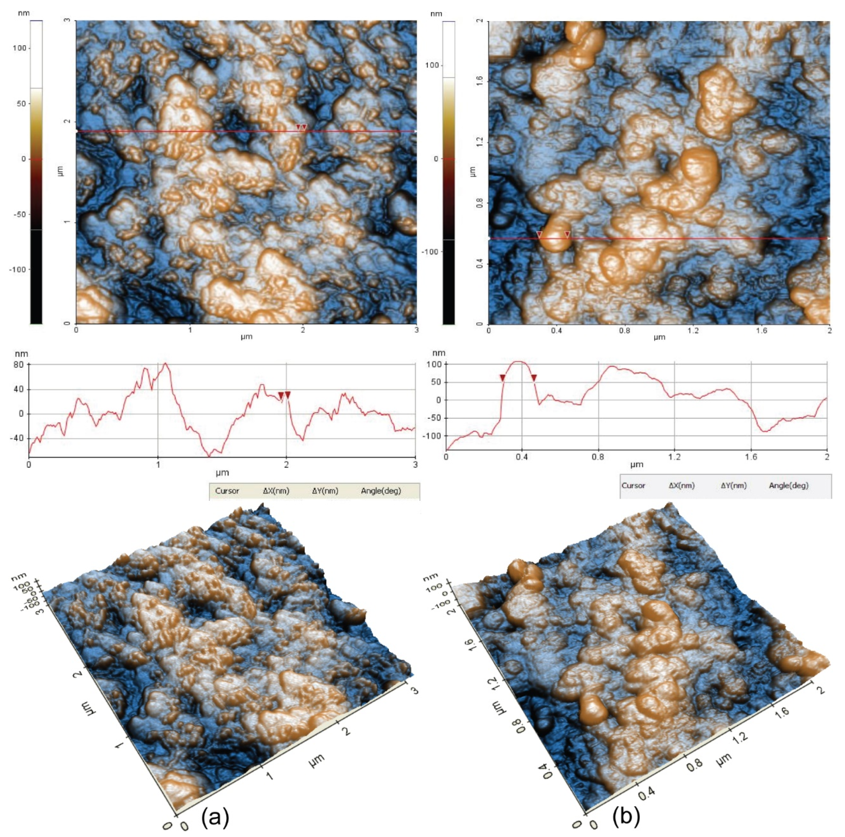 Coatings 11 01367 g010 550