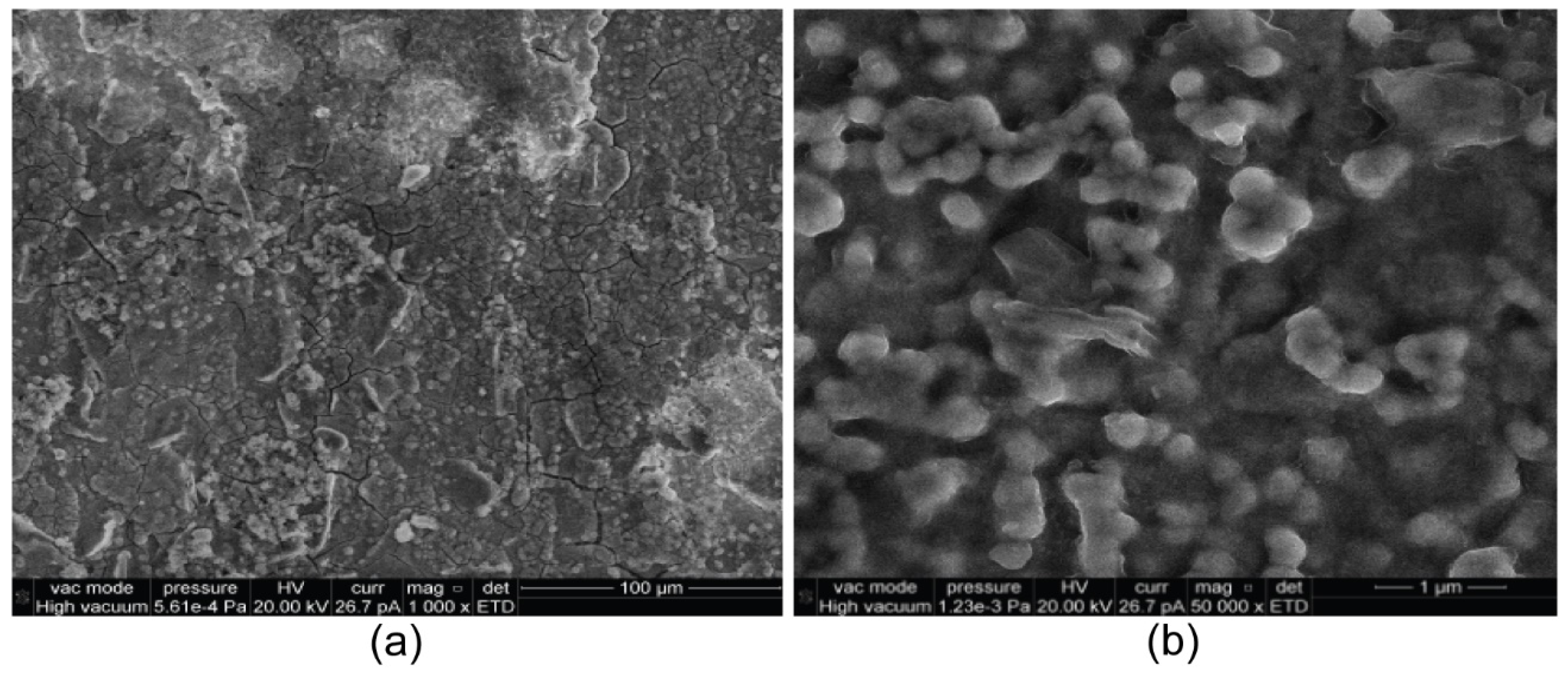 Coatings 11 01367 g011 550