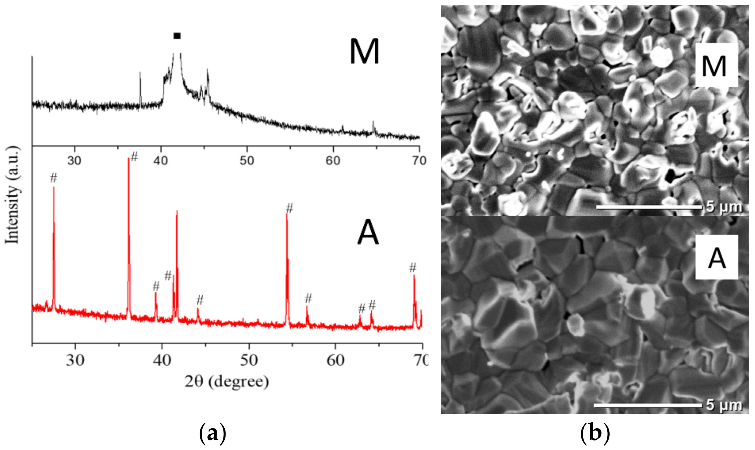 Coatings 11 01369 g007