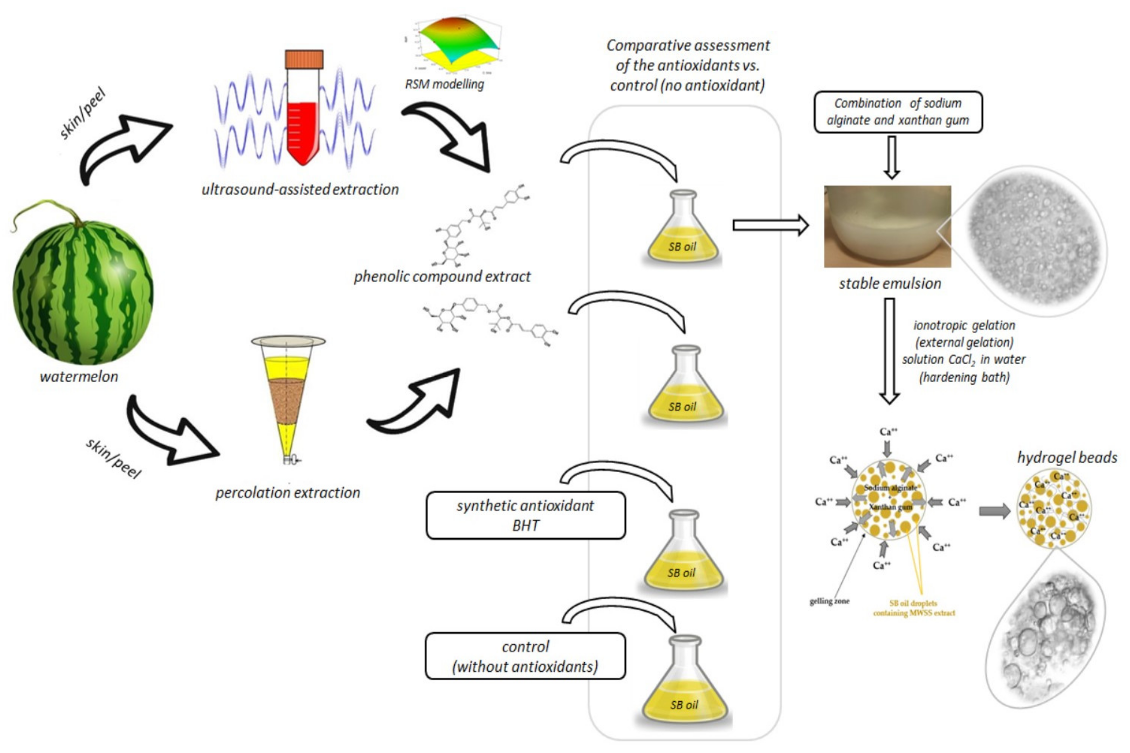 Coatings 11 01370 g001 Coatings 11 01370 g001