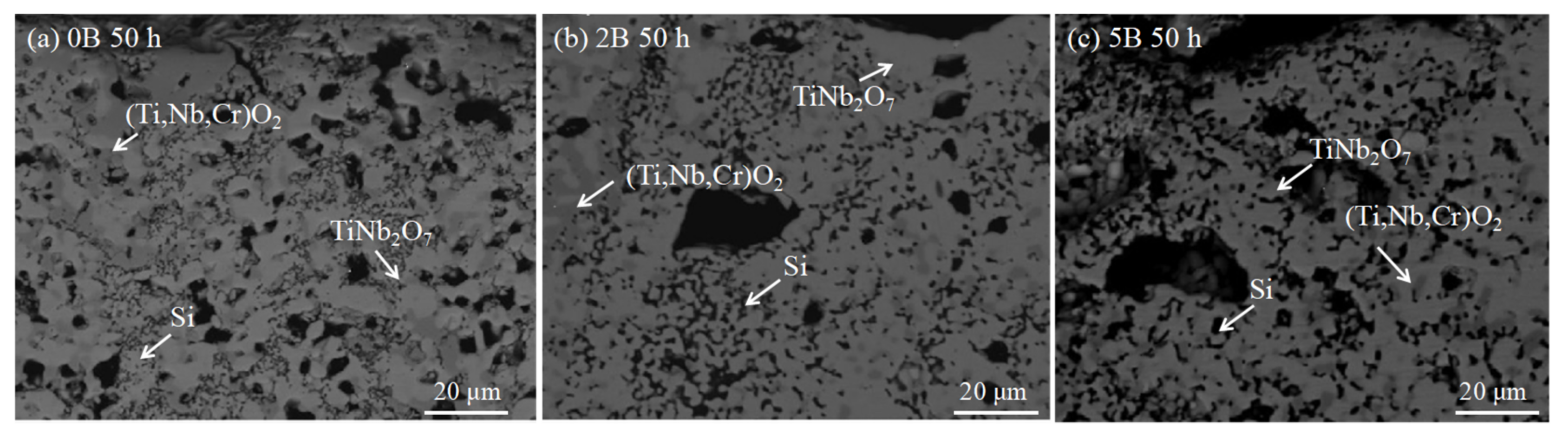 Coatings 11 01373 g010