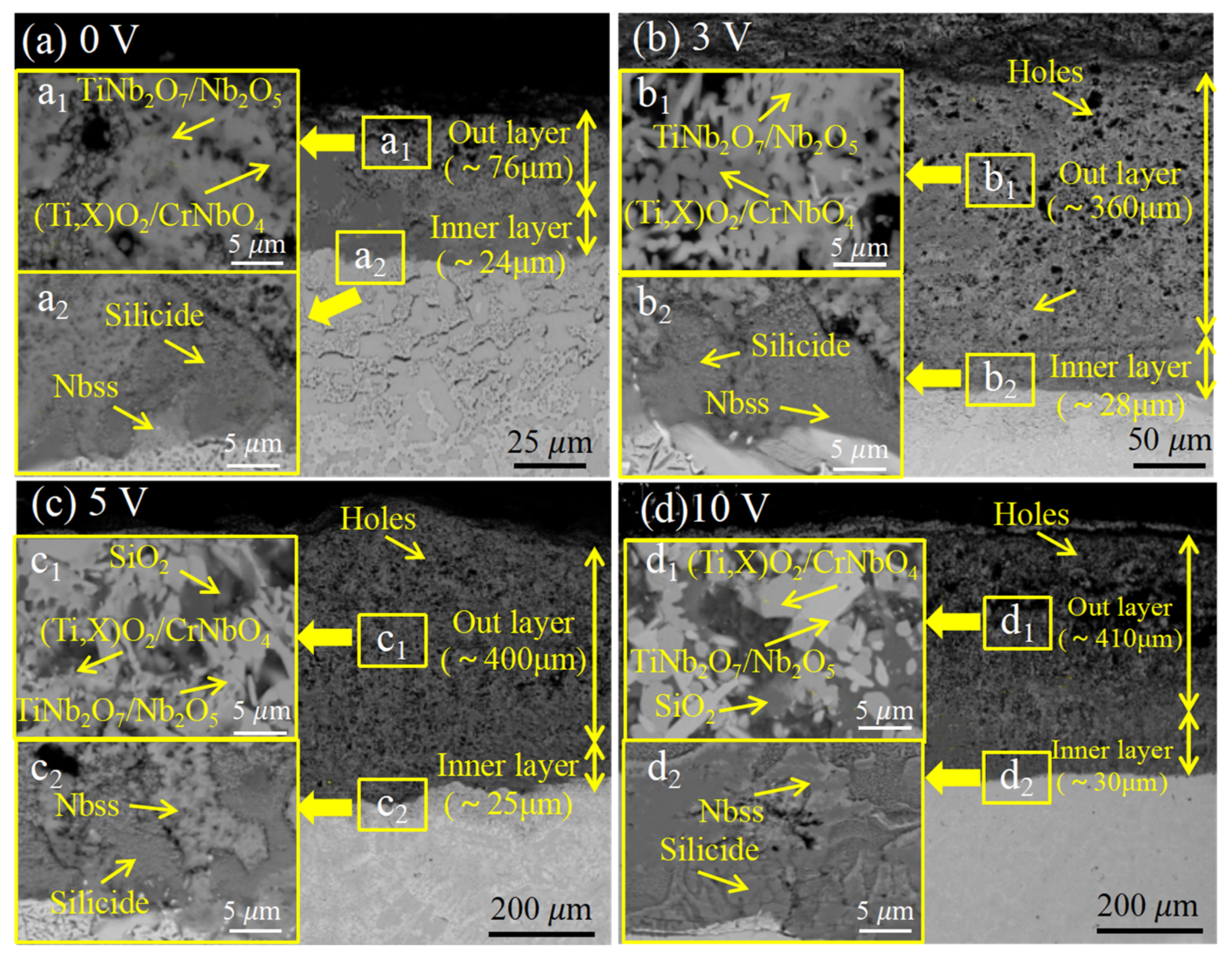 Coatings 11 01373 g014