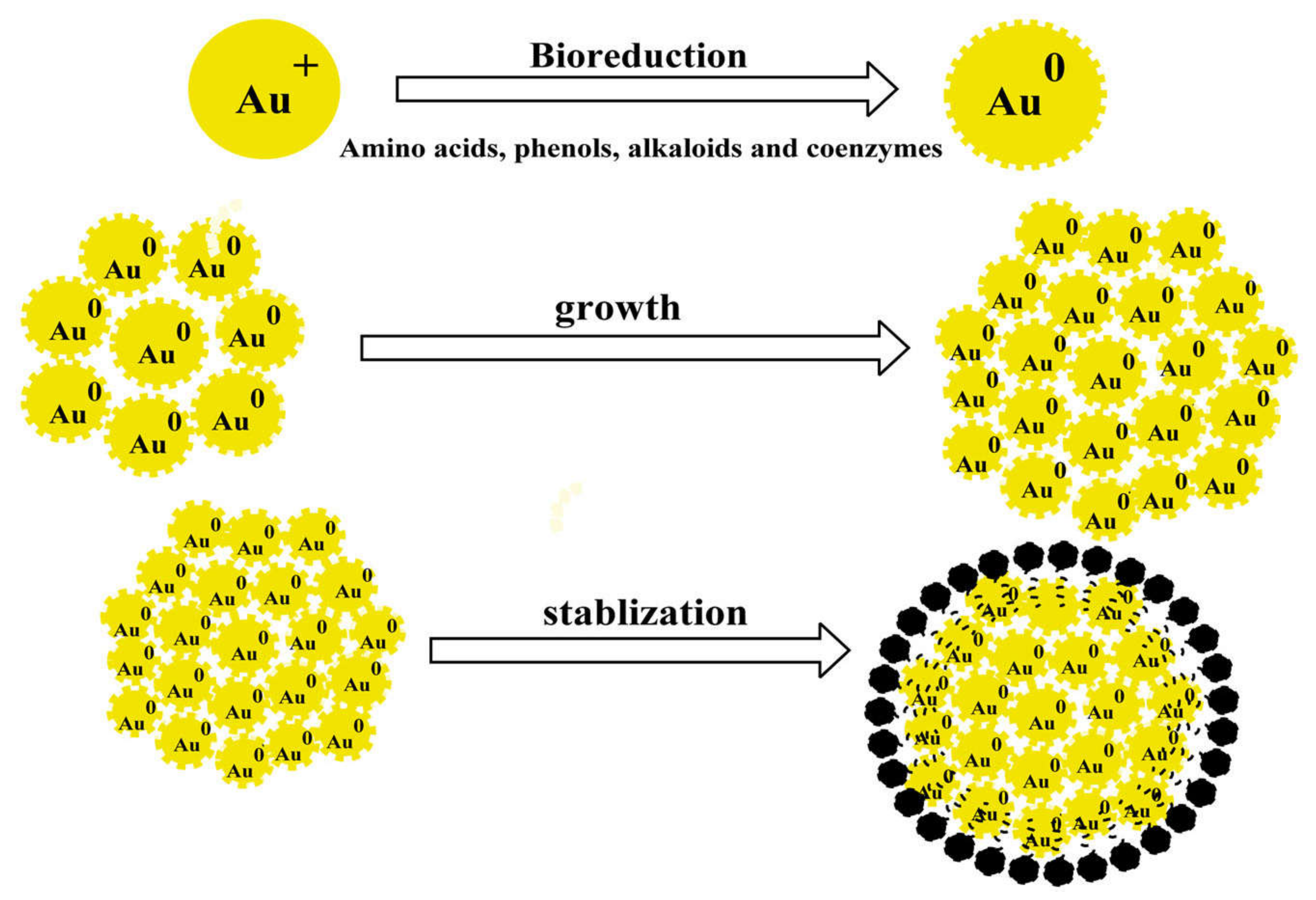 Coatings 11 01374 g006
