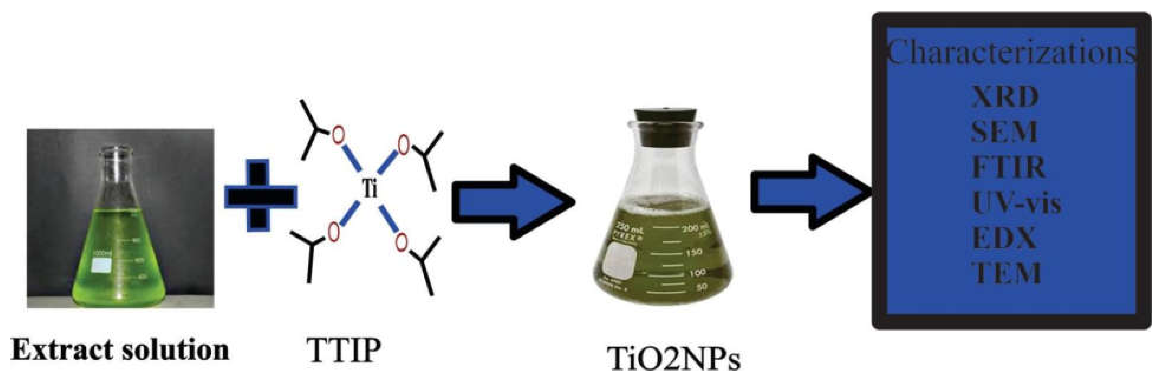 Coatings 11 01374 g007