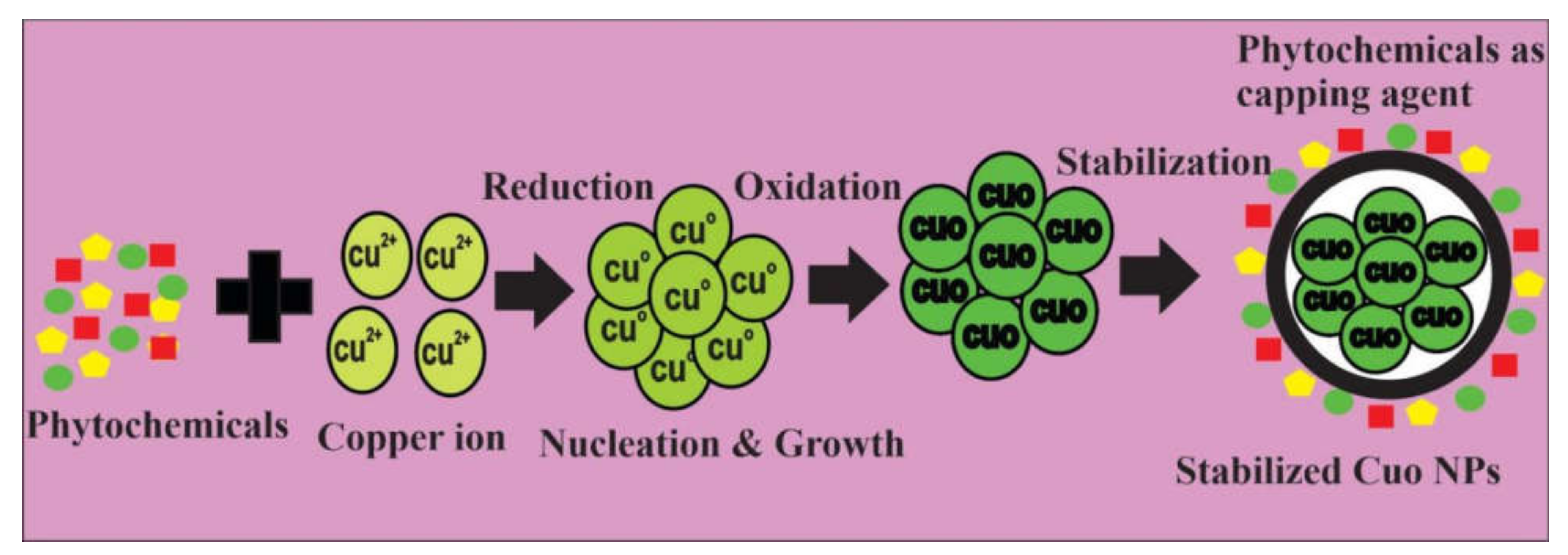 Coatings 11 01374 g009