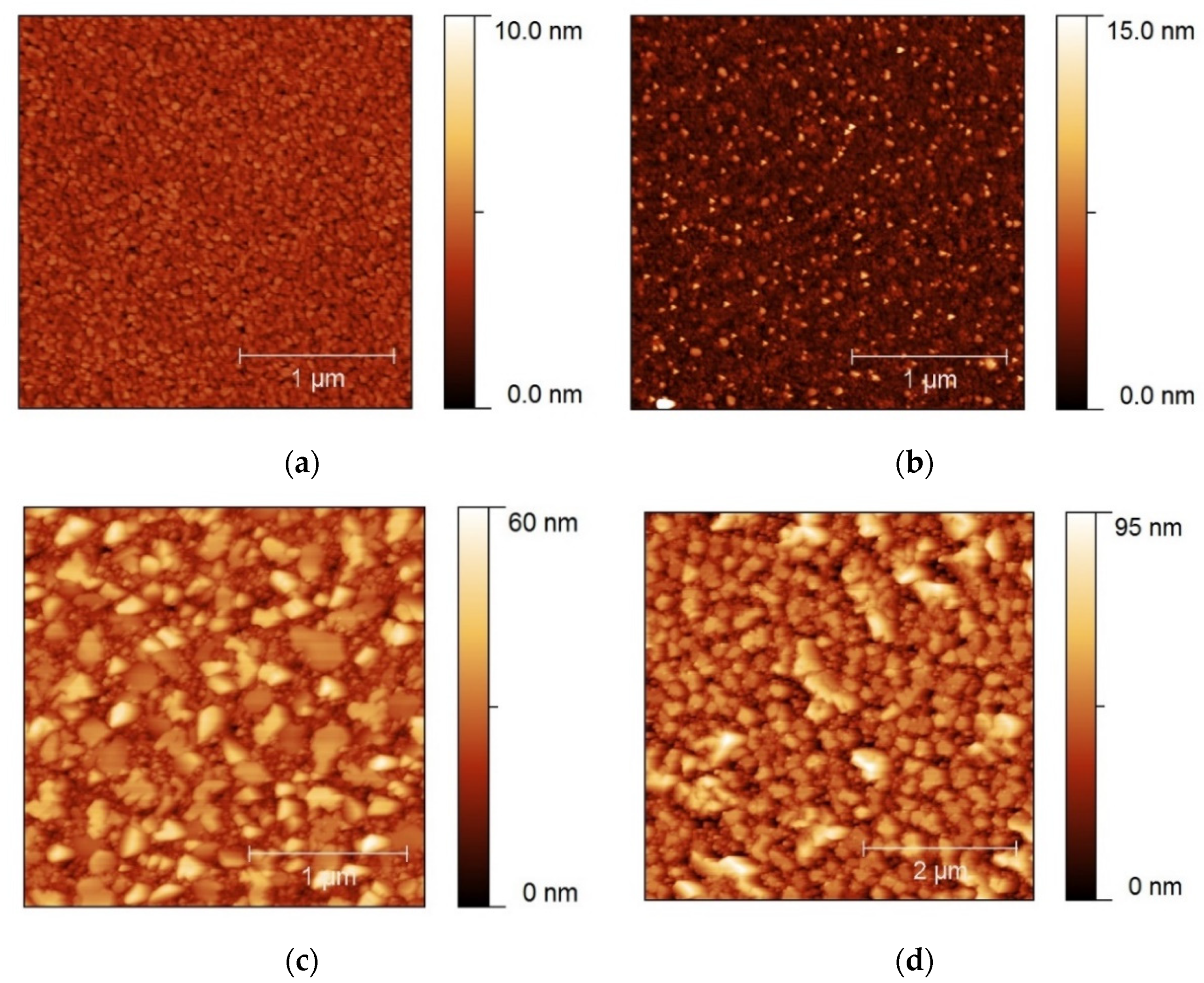 Coatings 11 01376 g005
