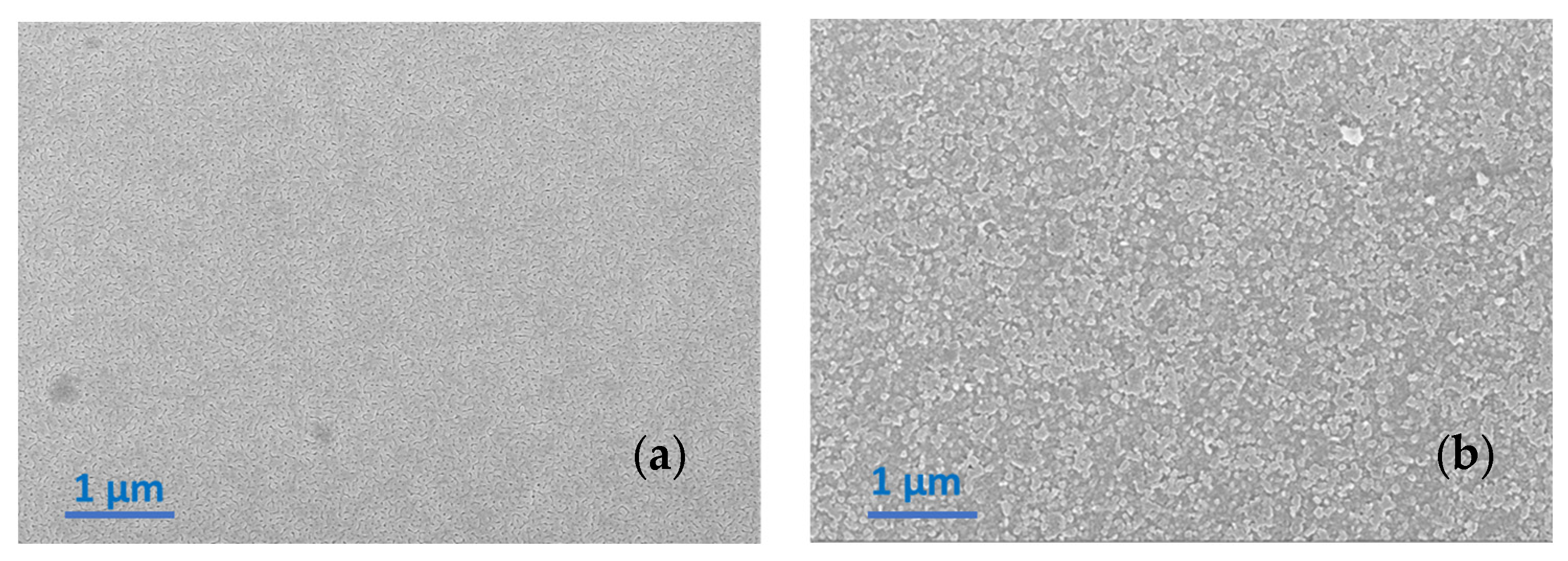 Coatings 11 01376 g006