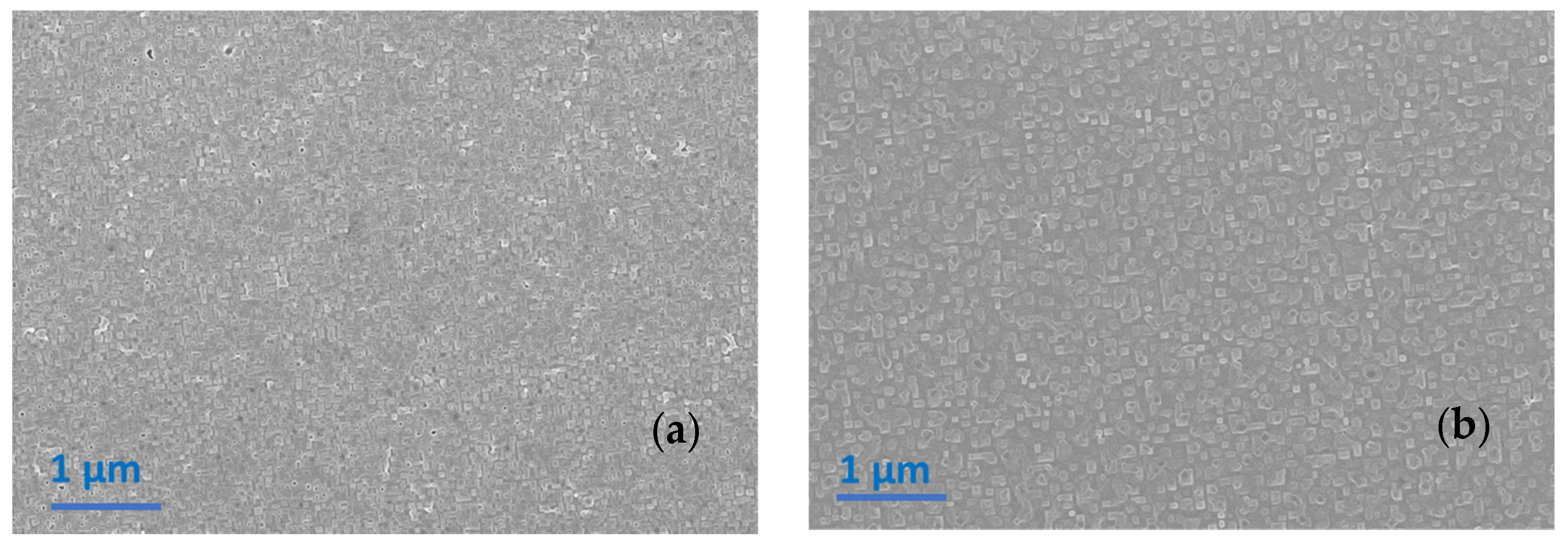Coatings 11 01376 g011