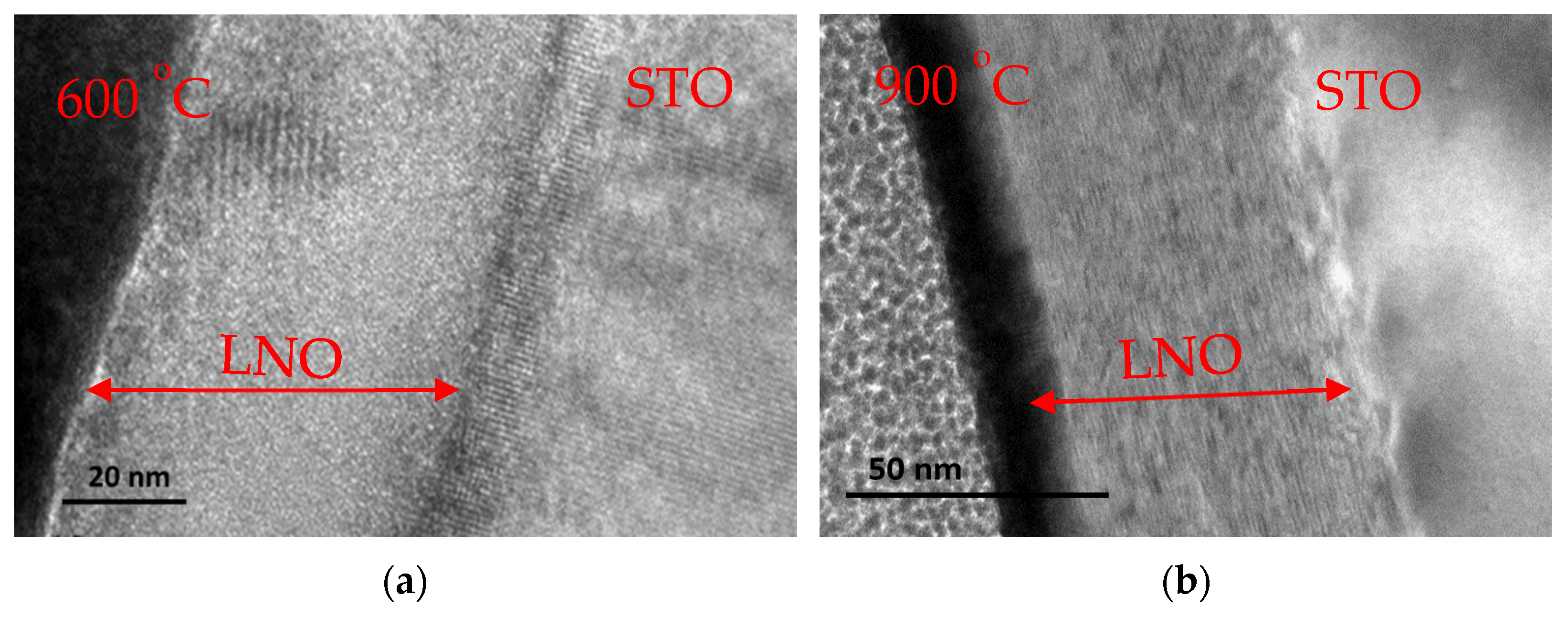 Coatings 11 01376 g012