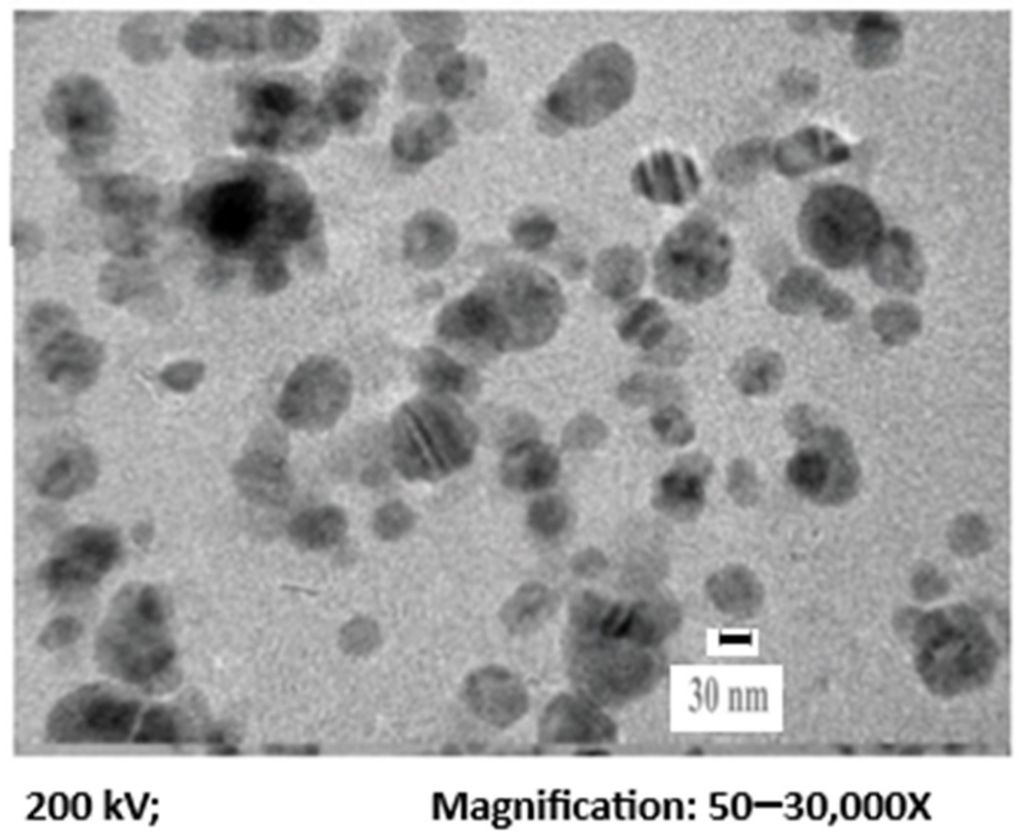 Coatings 11 01382 g001