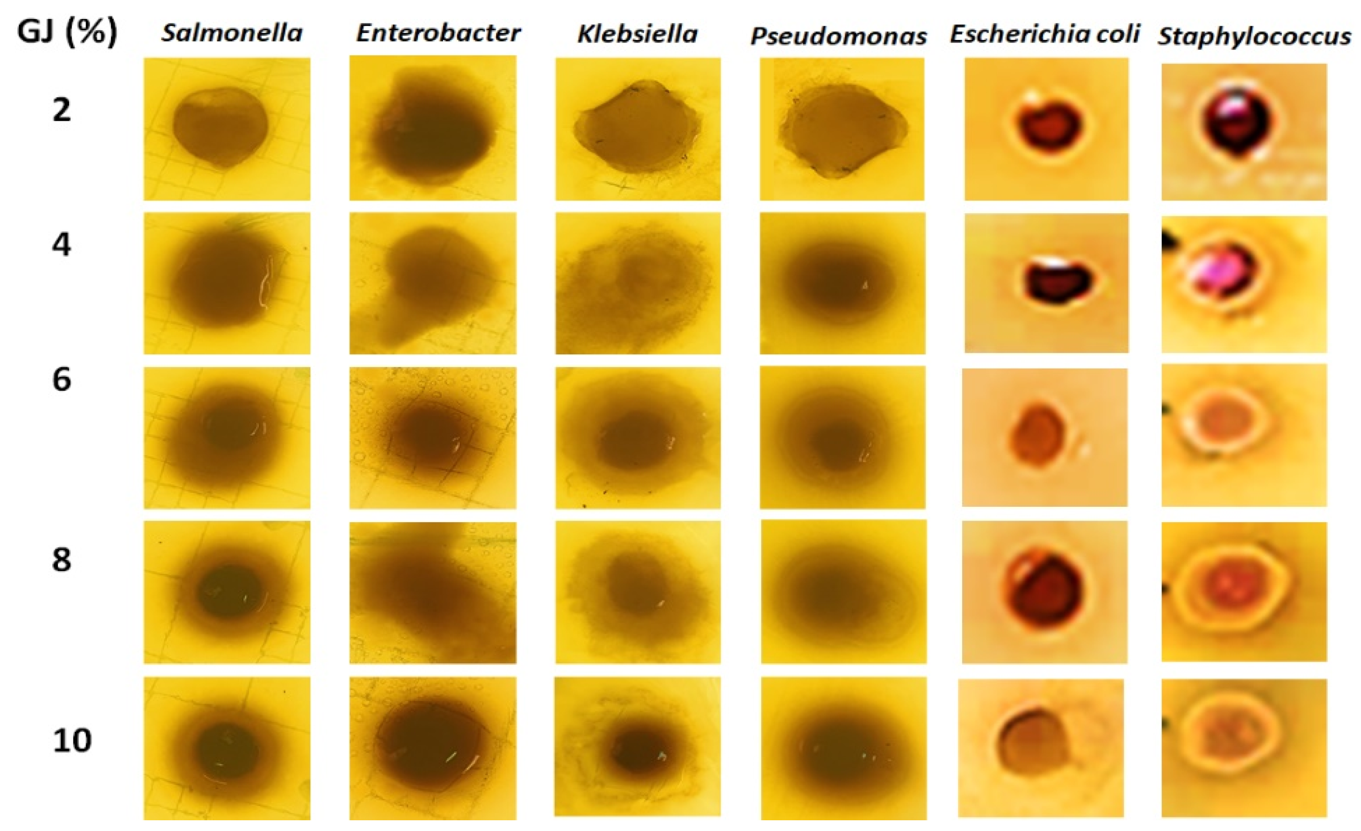 Coatings 11 01383 g004