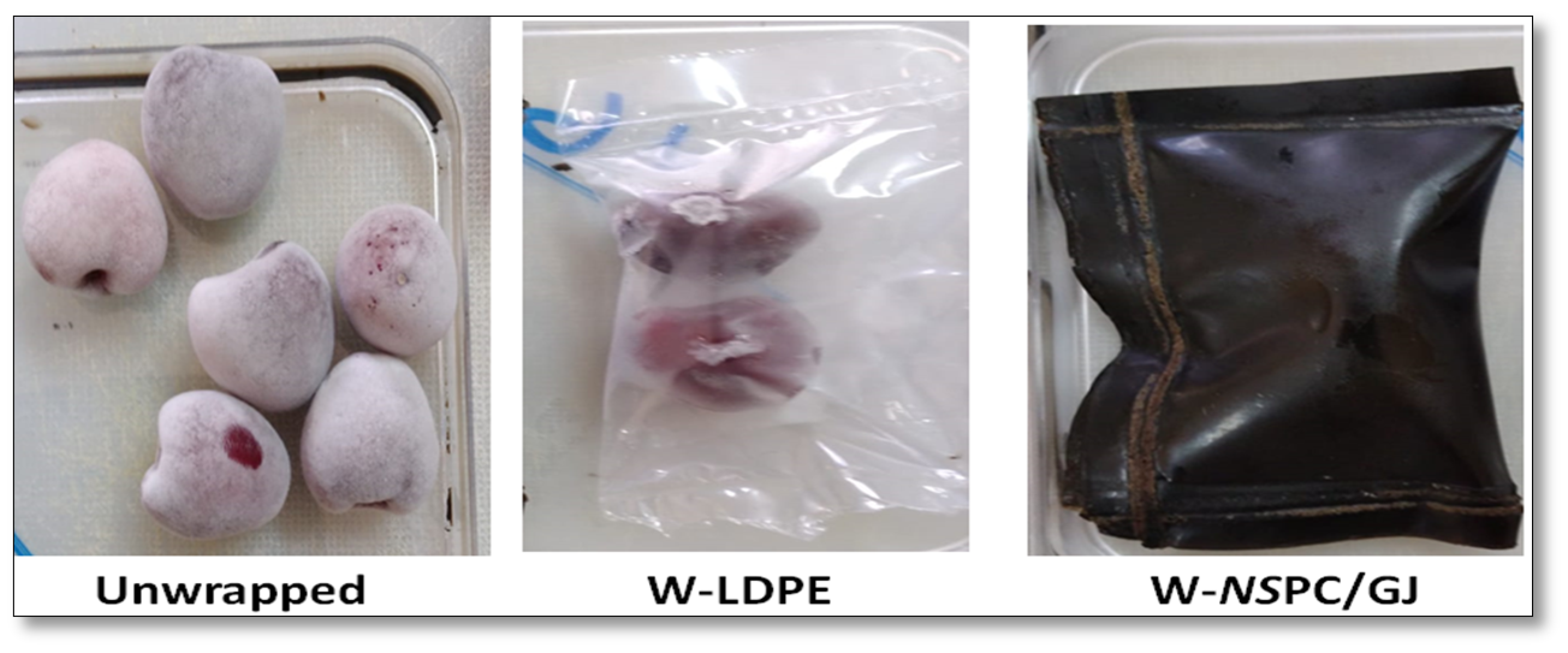 Coatings 11 01383 g005