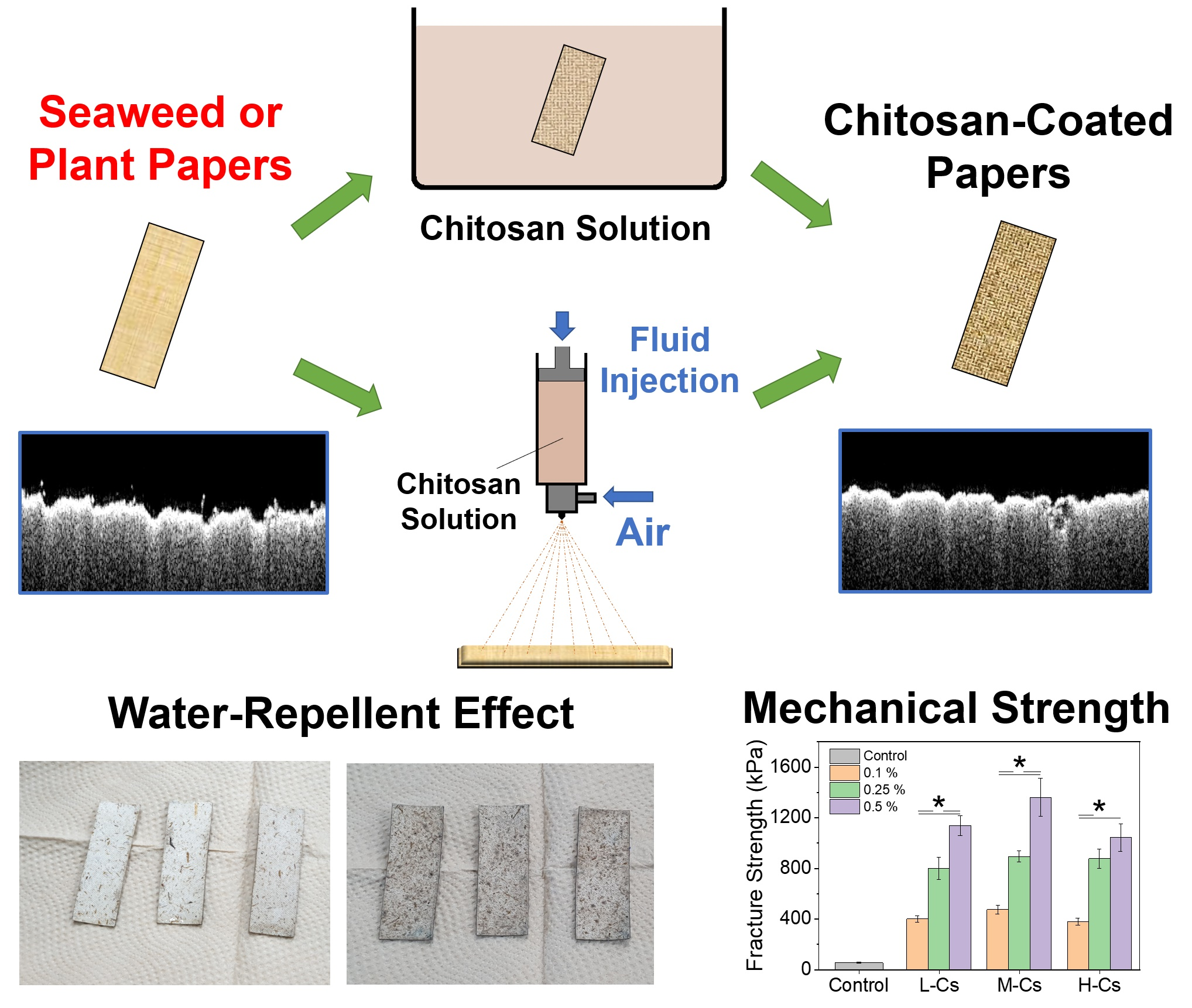 Coatings Free Full Text Comprehensive Enhancement Of Mechanical Water Repellent And Antimicrobial Properties Of Regenerated Seaweed And Plant Based Paper With Chitosan Coating