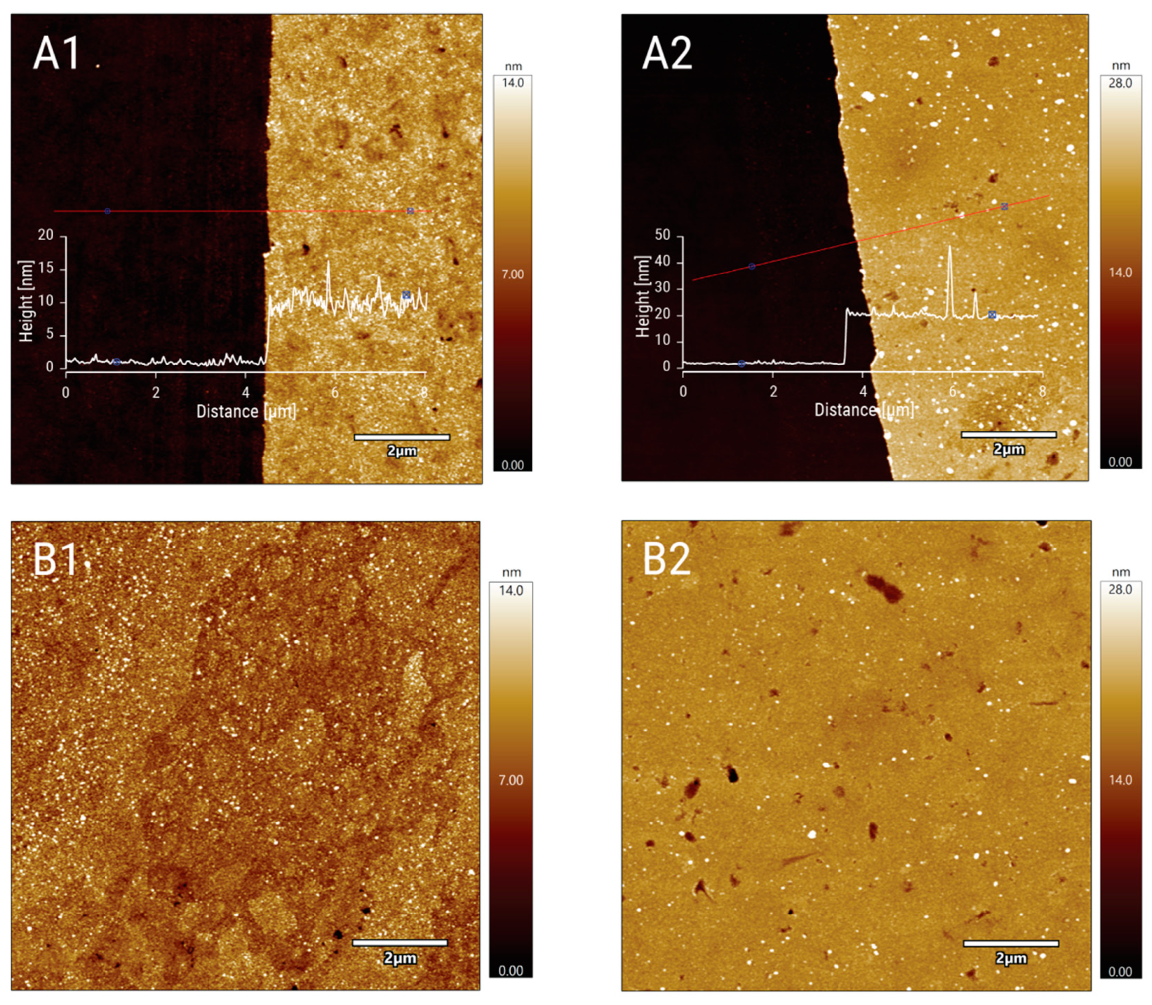 Coatings 11 01385 g002