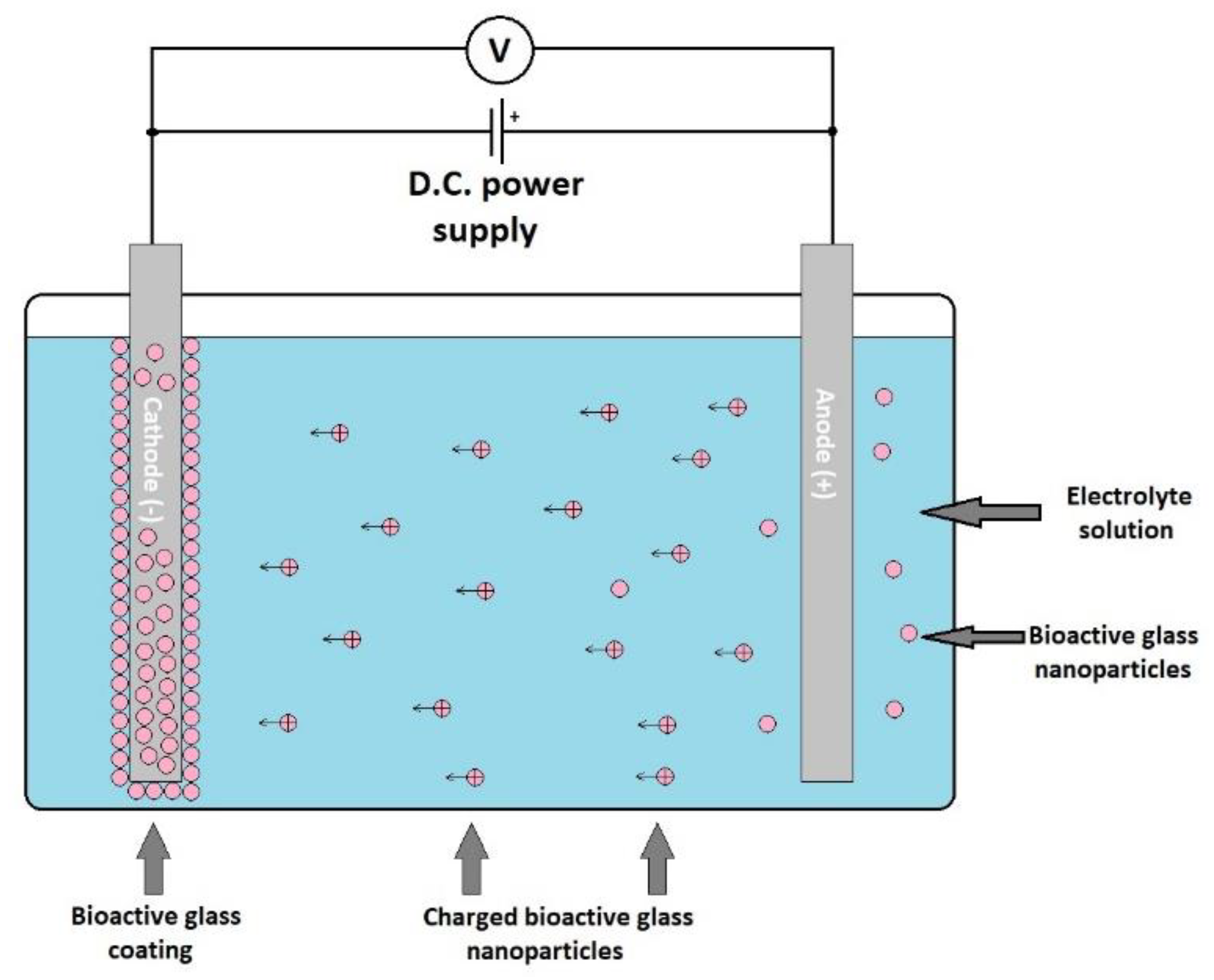 Coatings 11 01386 g007