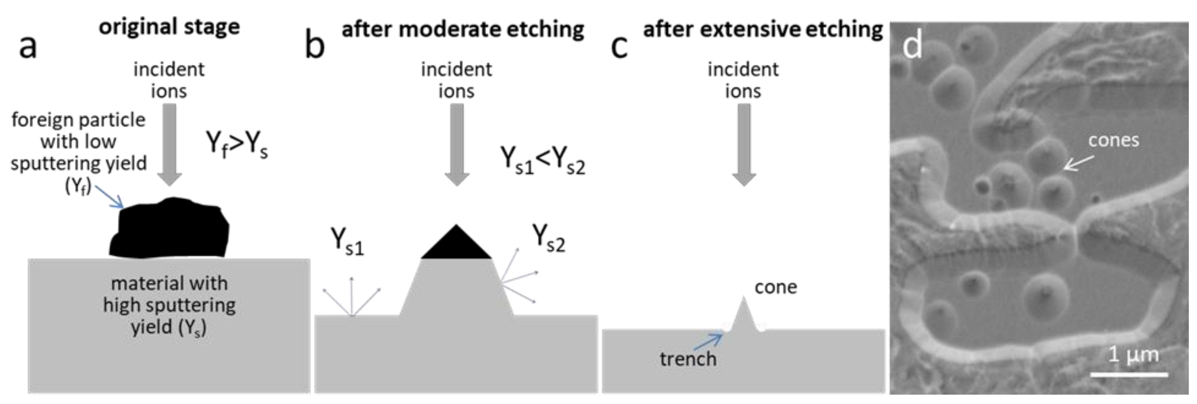 Coatings 11 01387 g010