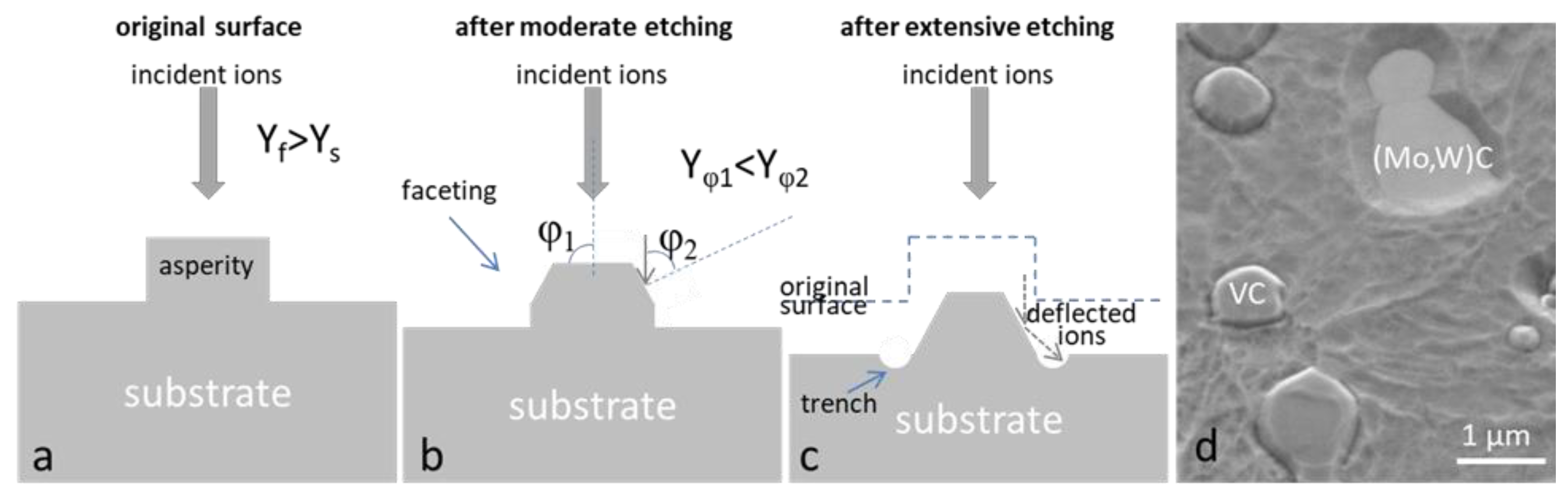 Coatings 11 01387 g012