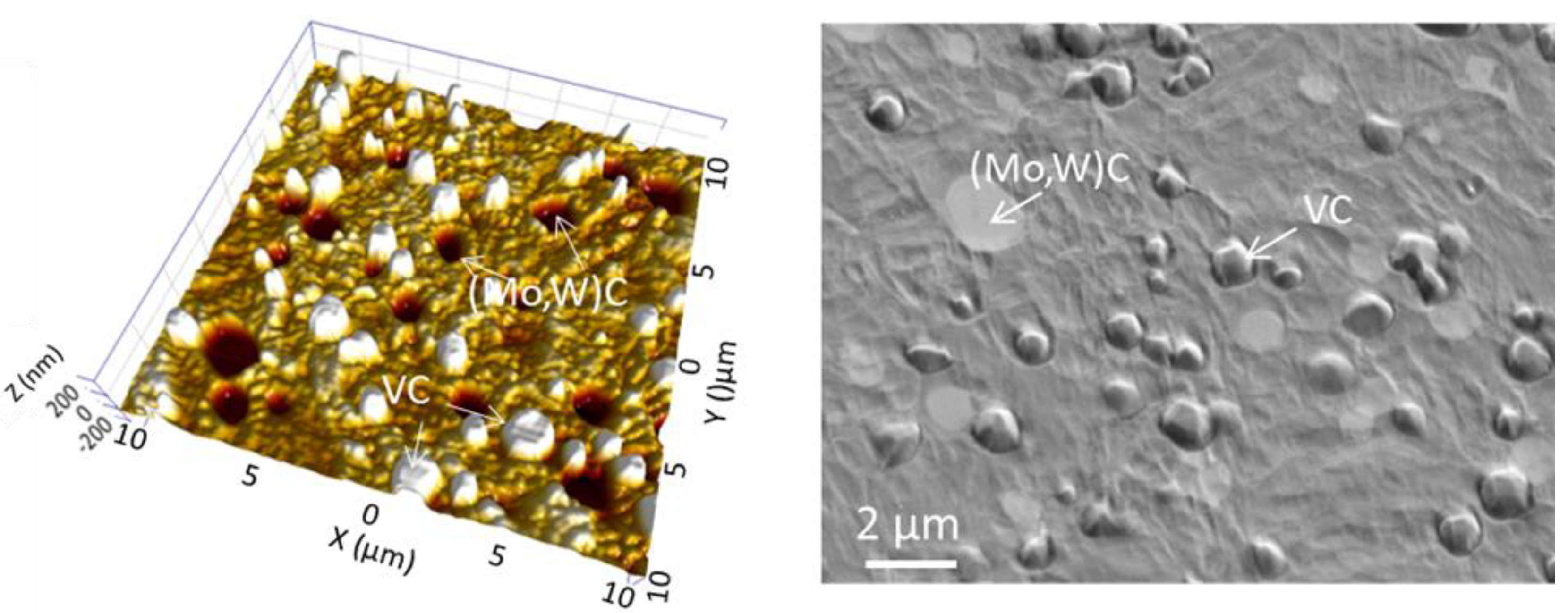 Coatings 11 01387 g013
