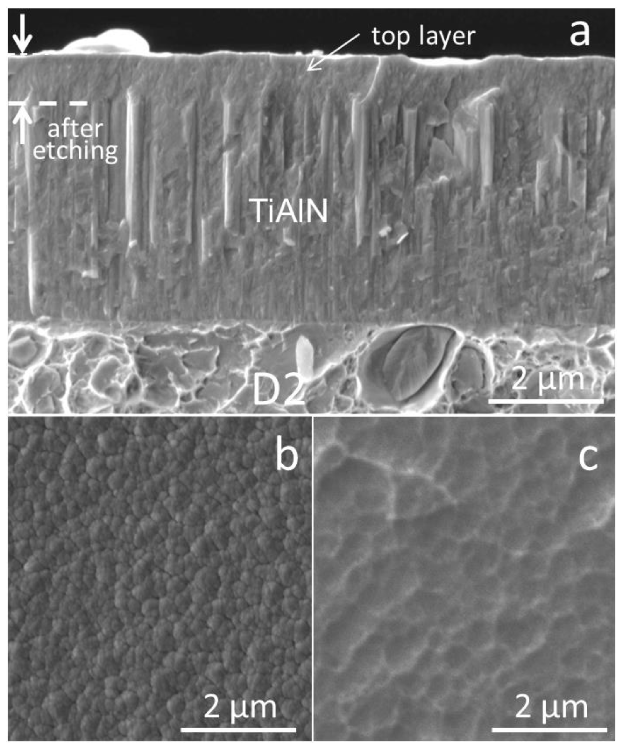 Coatings 11 01387 g021