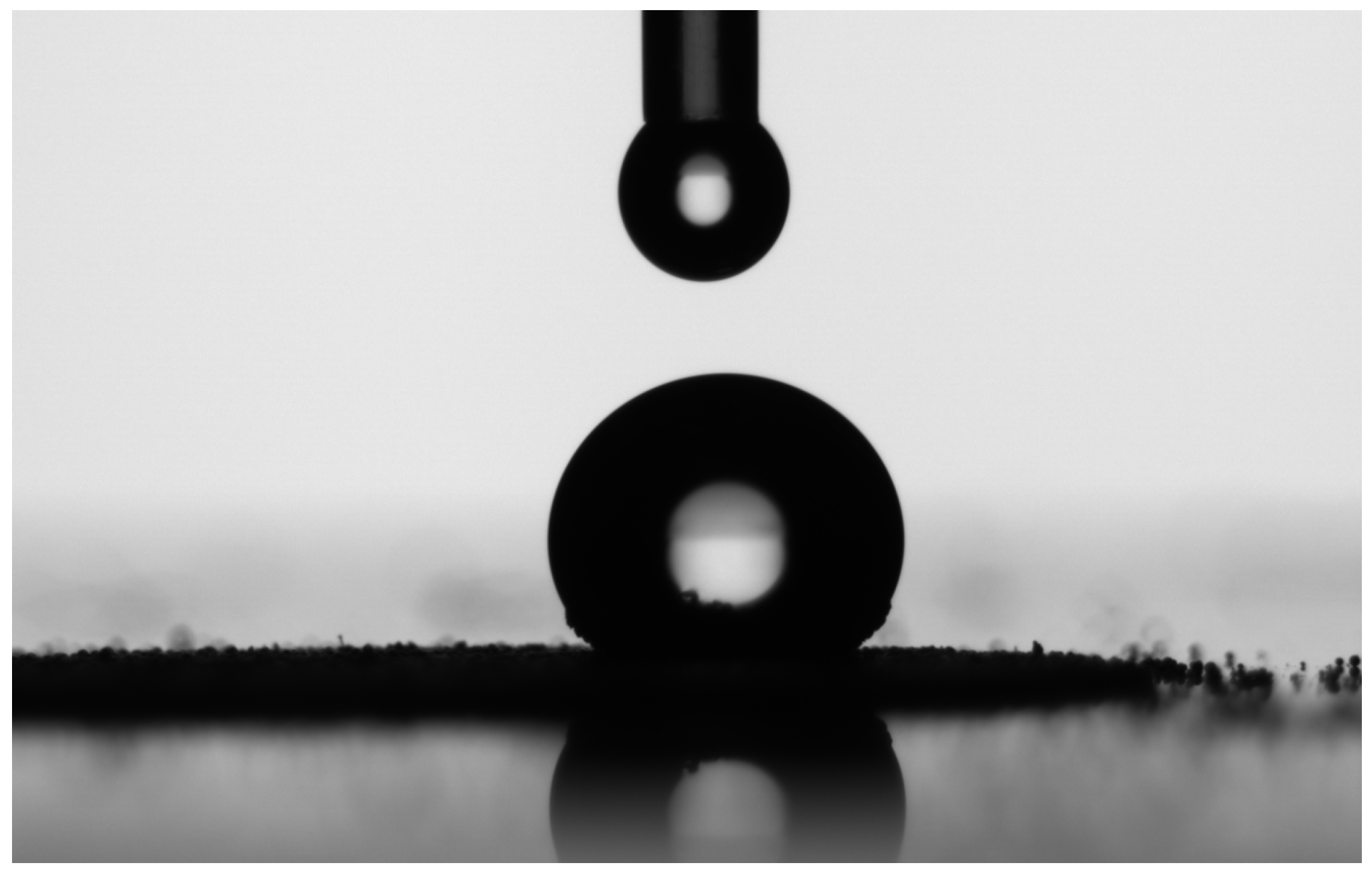 Coatings 11 01389 g003