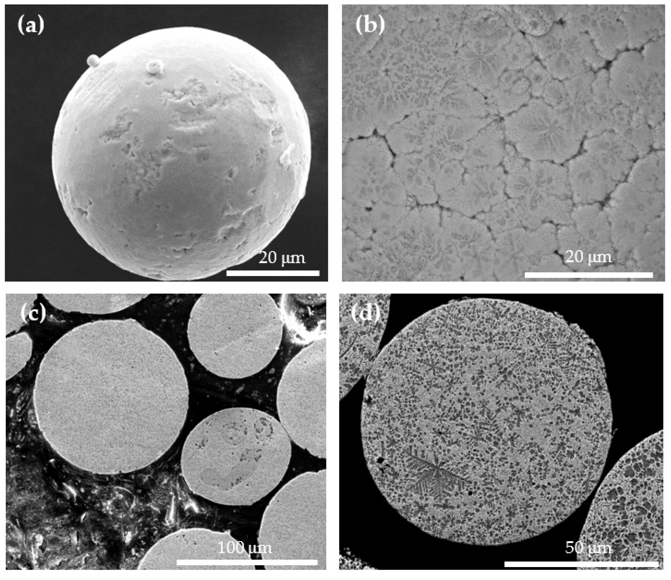 Coatings 11 01389 g004