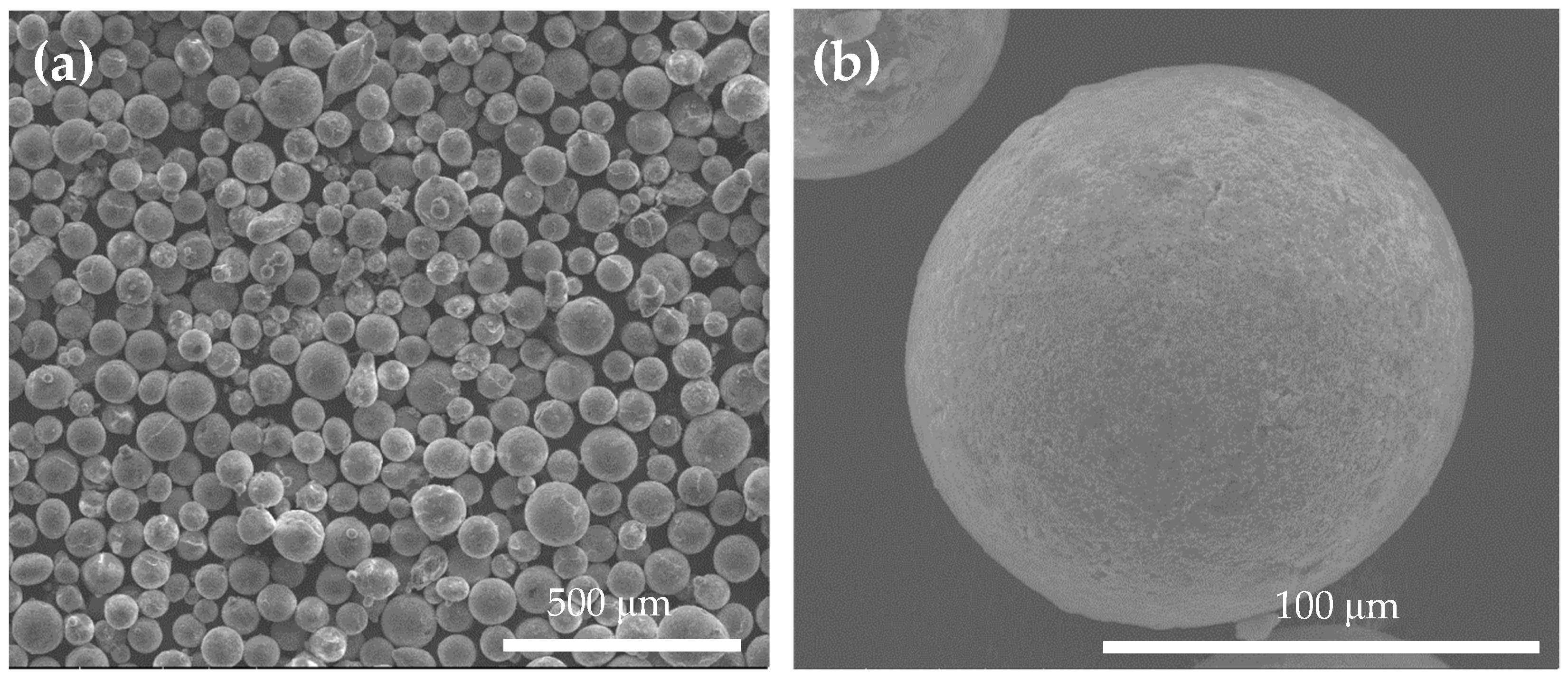 Coatings 11 01389 g005a