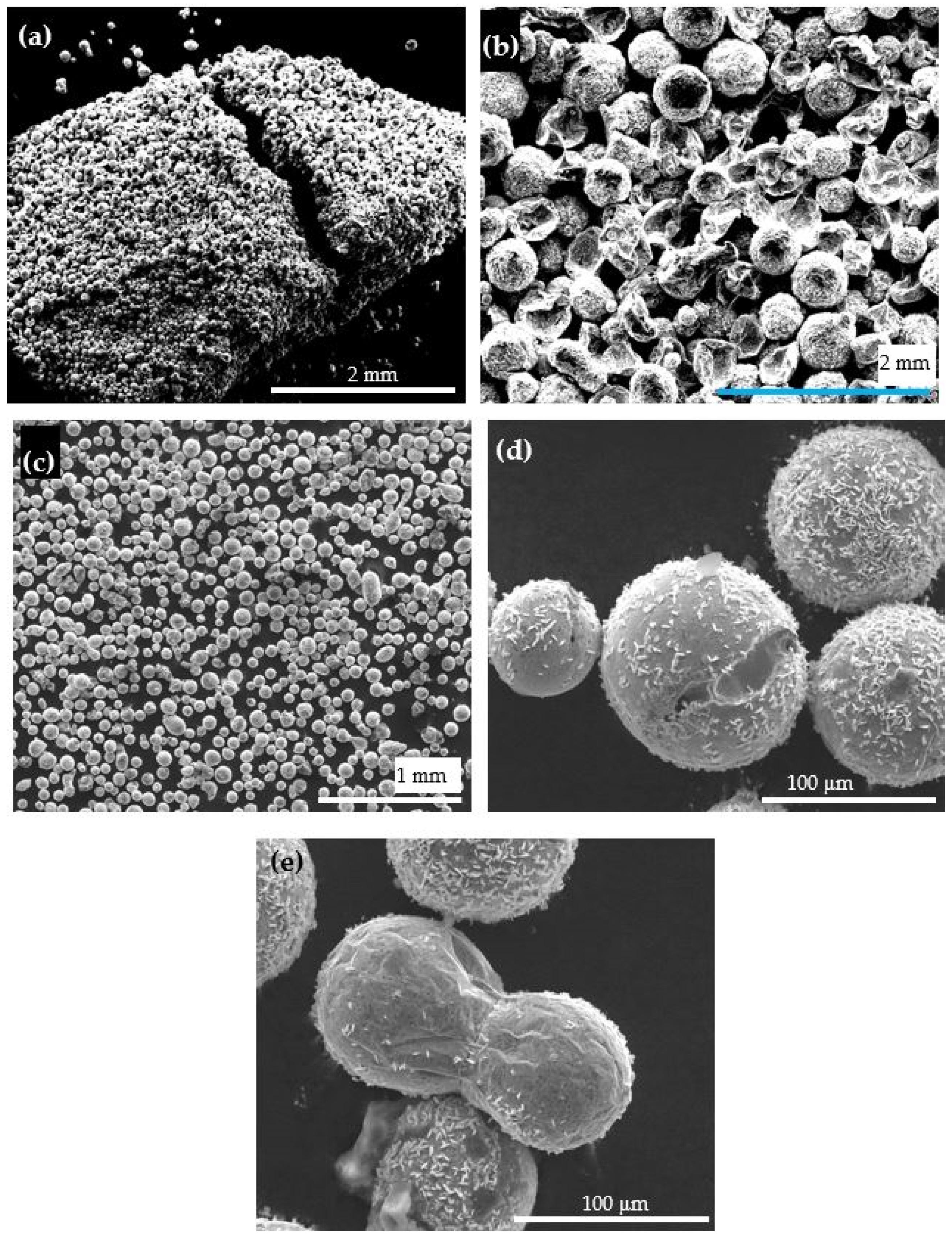 Coatings 11 01389 g007