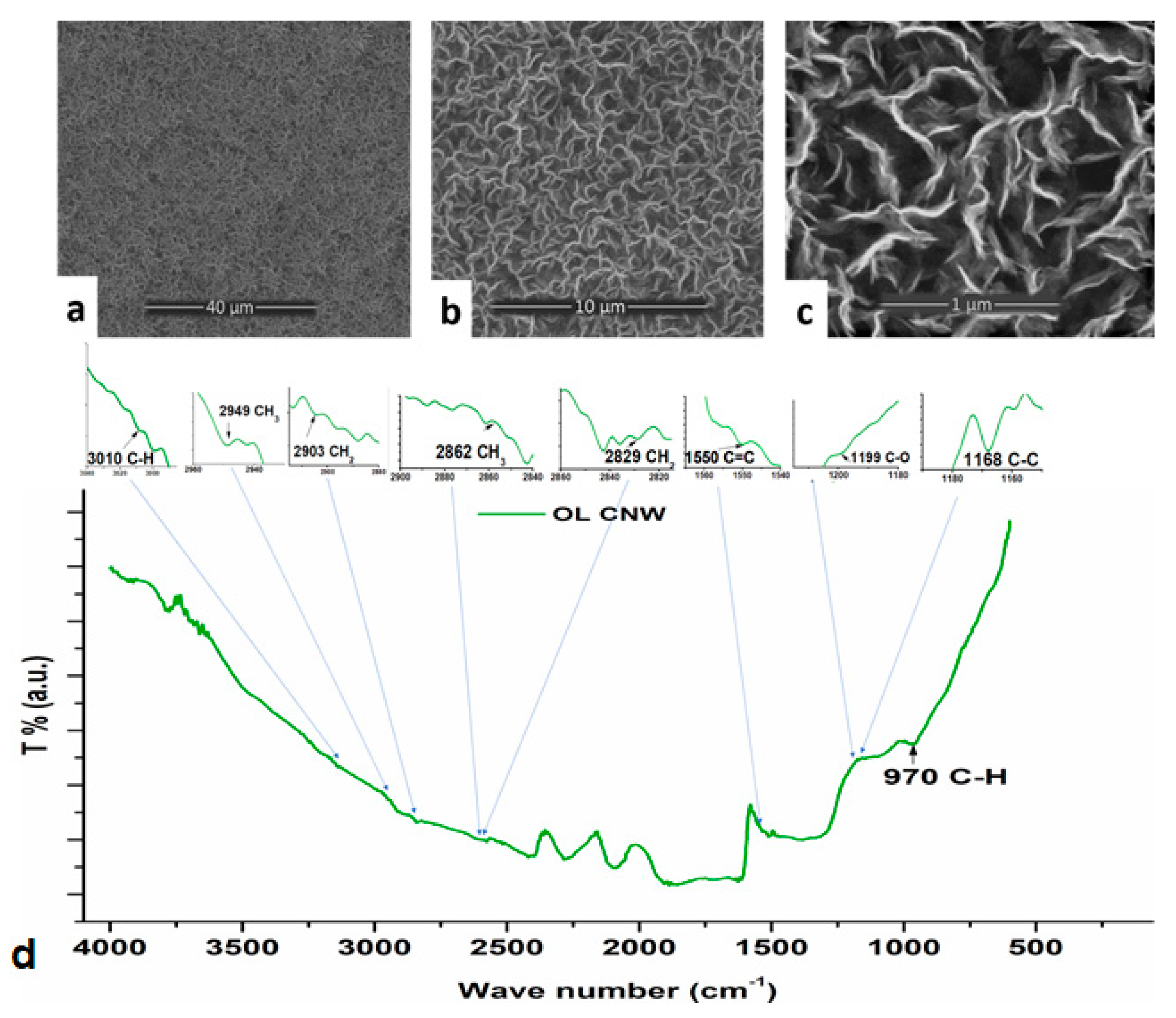 Coatings 11 01395 g003 550