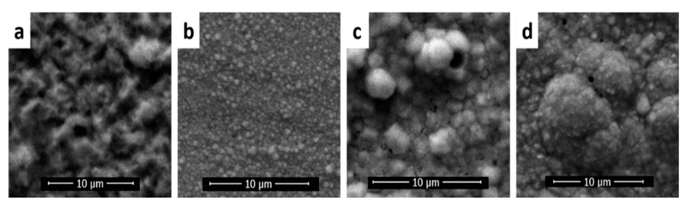 Coatings 11 01395 g004 550