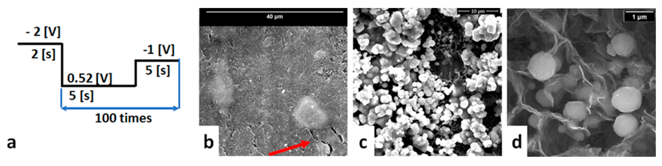 Coatings 11 01395 g006 550
