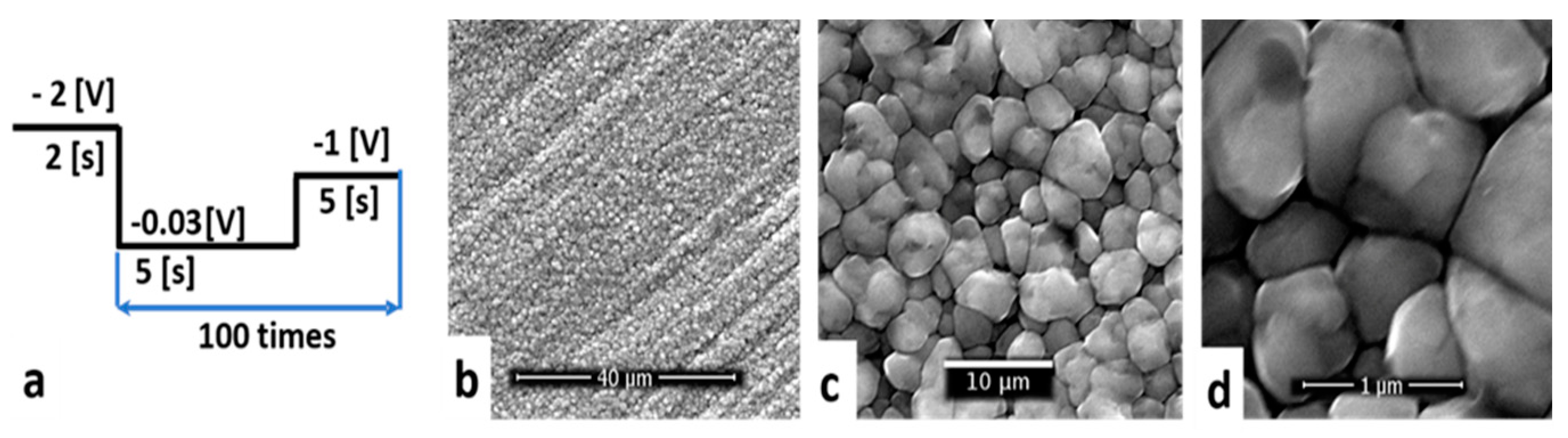 Coatings 11 01395 g007 550