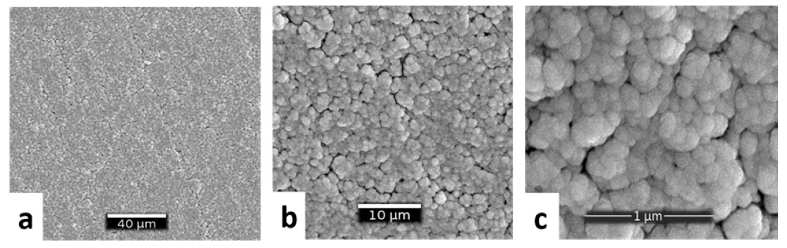 Coatings 11 01395 g008 550