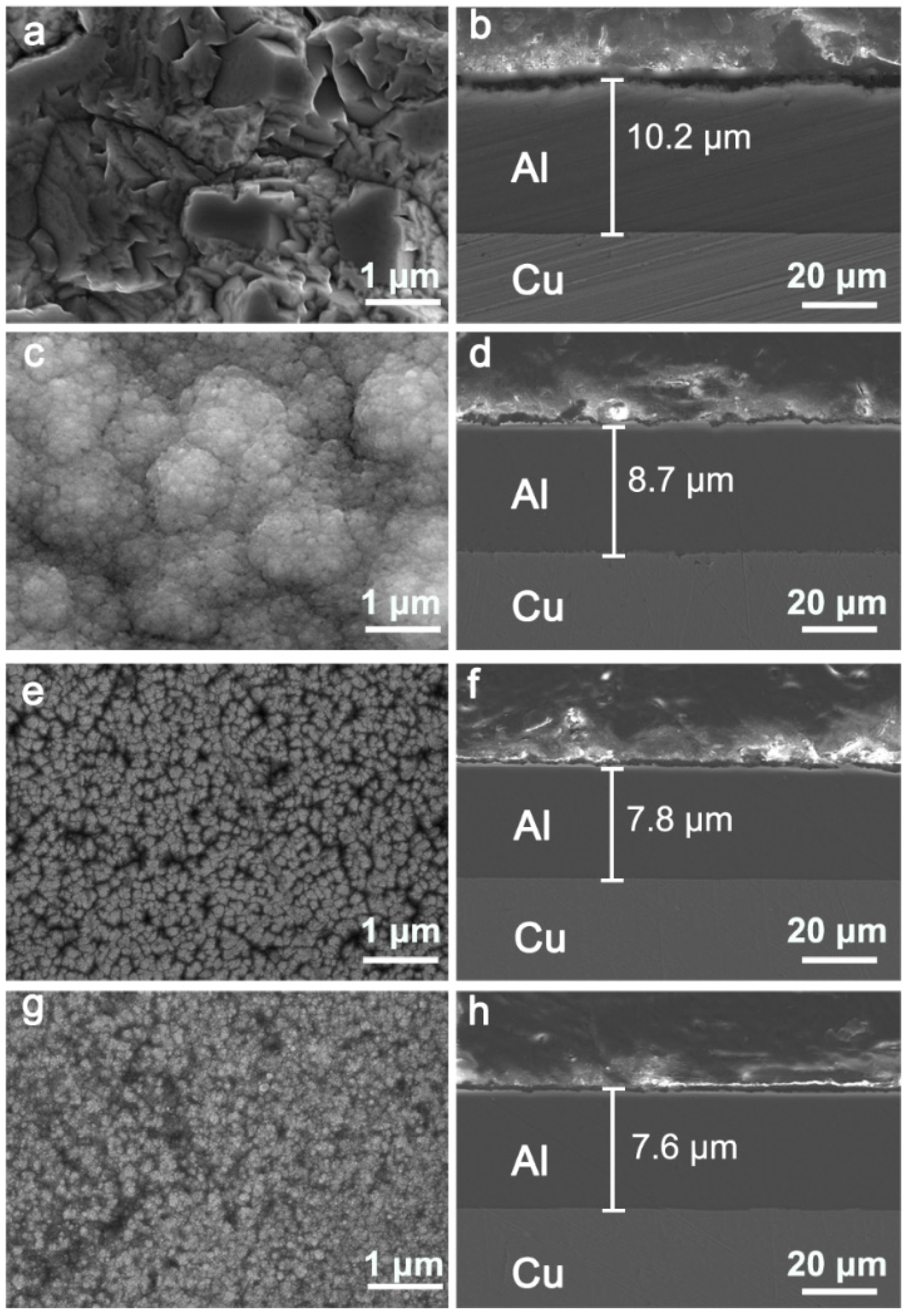 Coatings 11 01396 g004