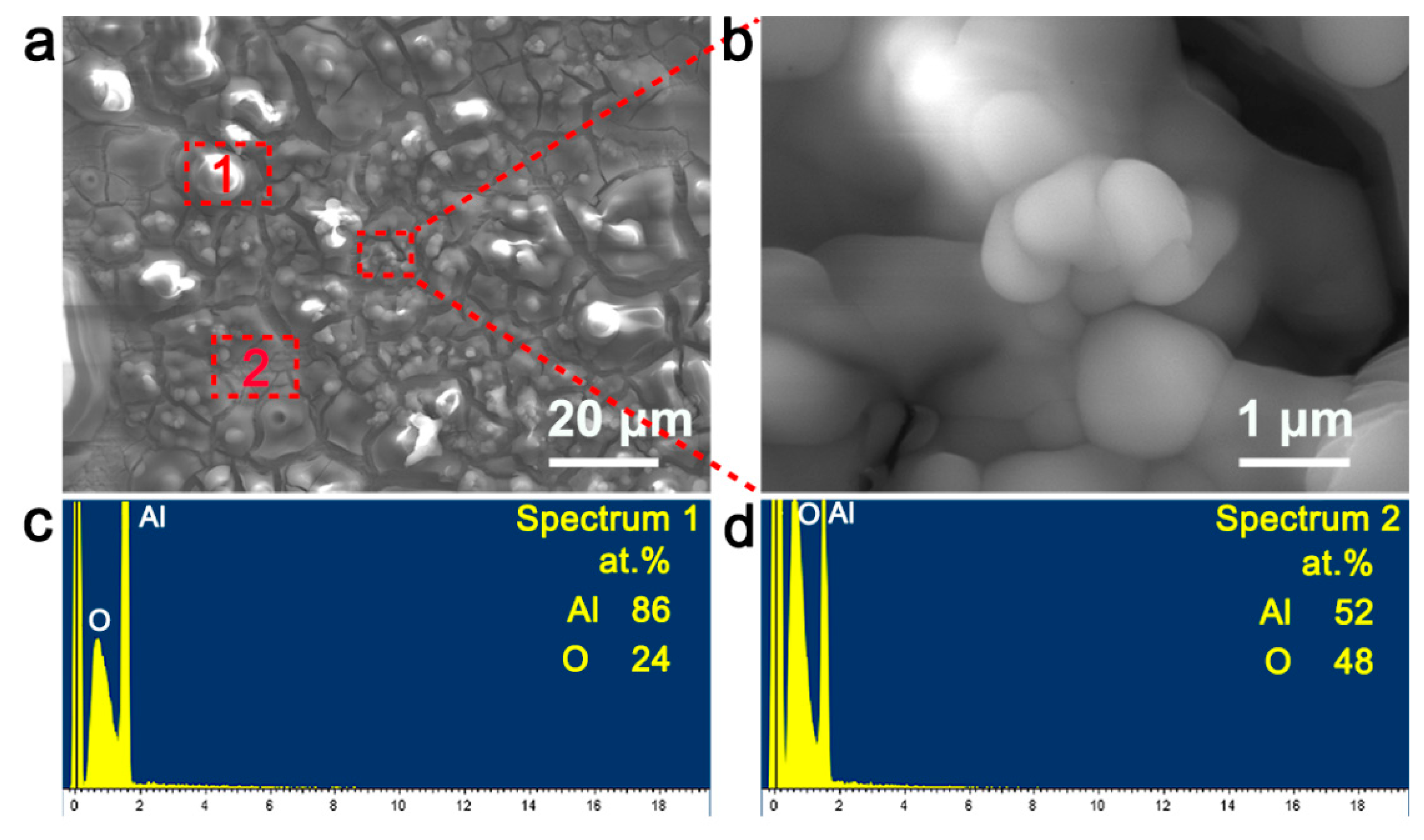 Coatings 11 01396 g005