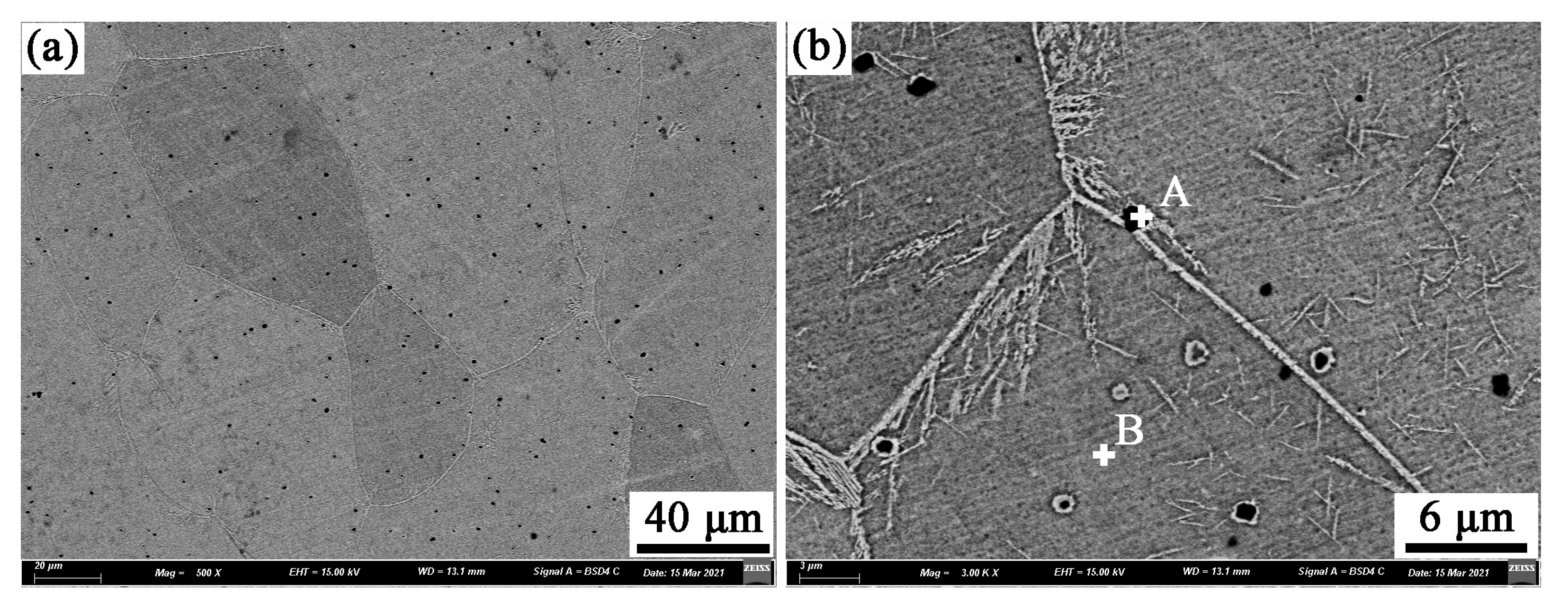 Coatings 11 01402 g009 Coatings 11 01402 g009