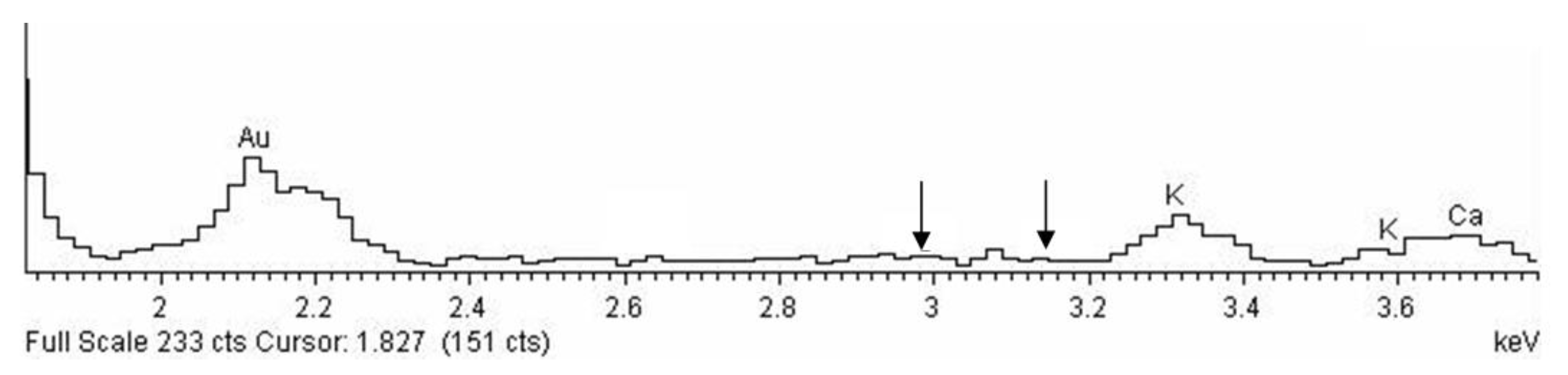 Coatings 11 01409 g007