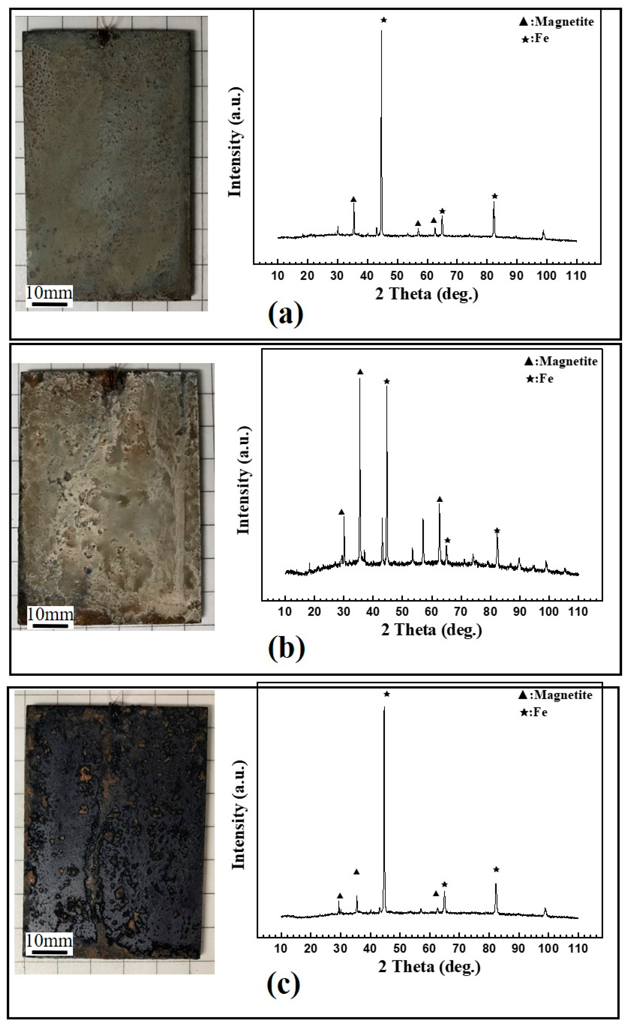 Coatings 11 01412 g004