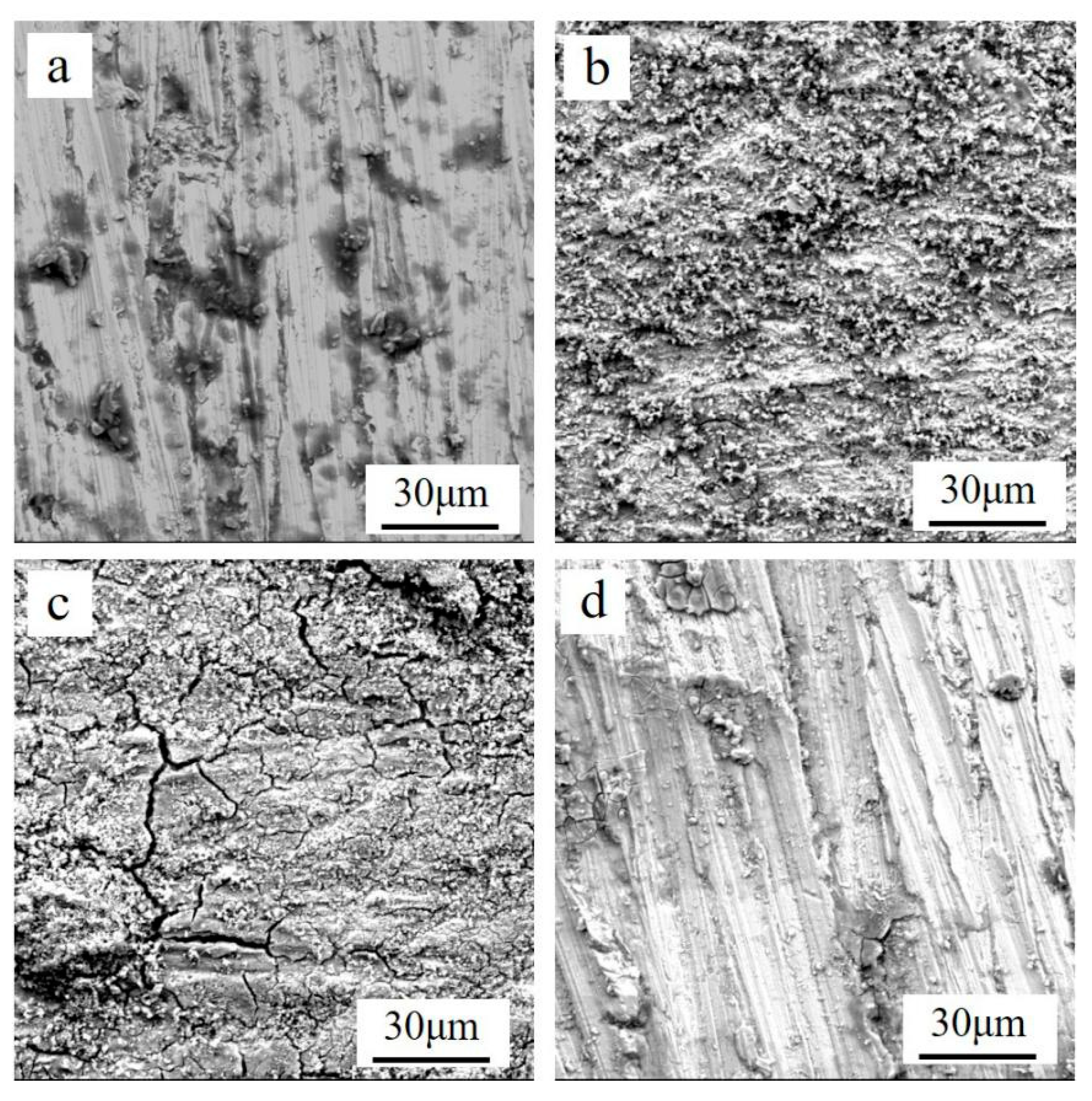 Coatings 11 01412 g007
