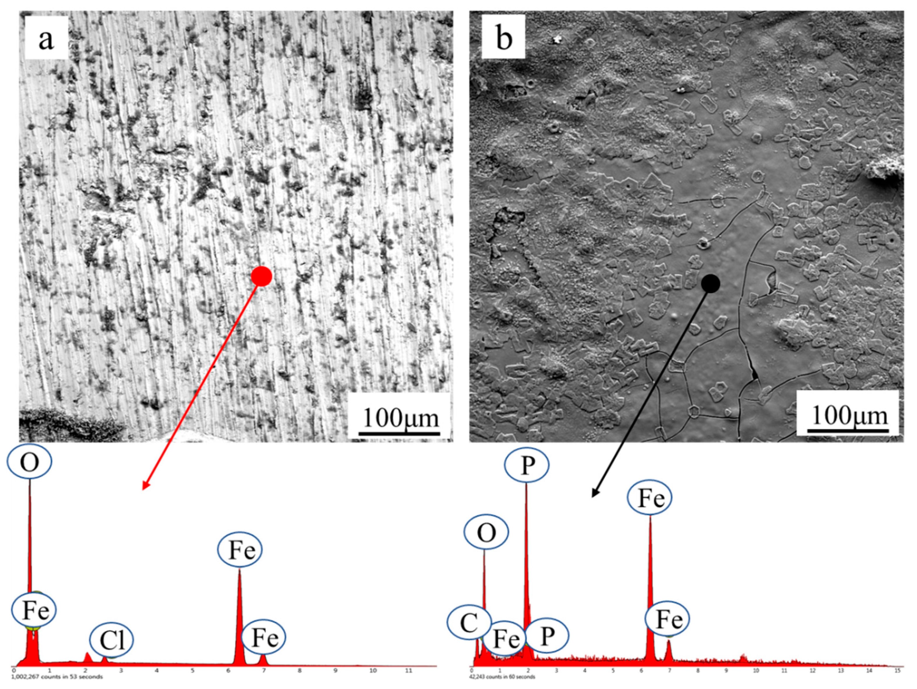 Coatings 11 01412 g009