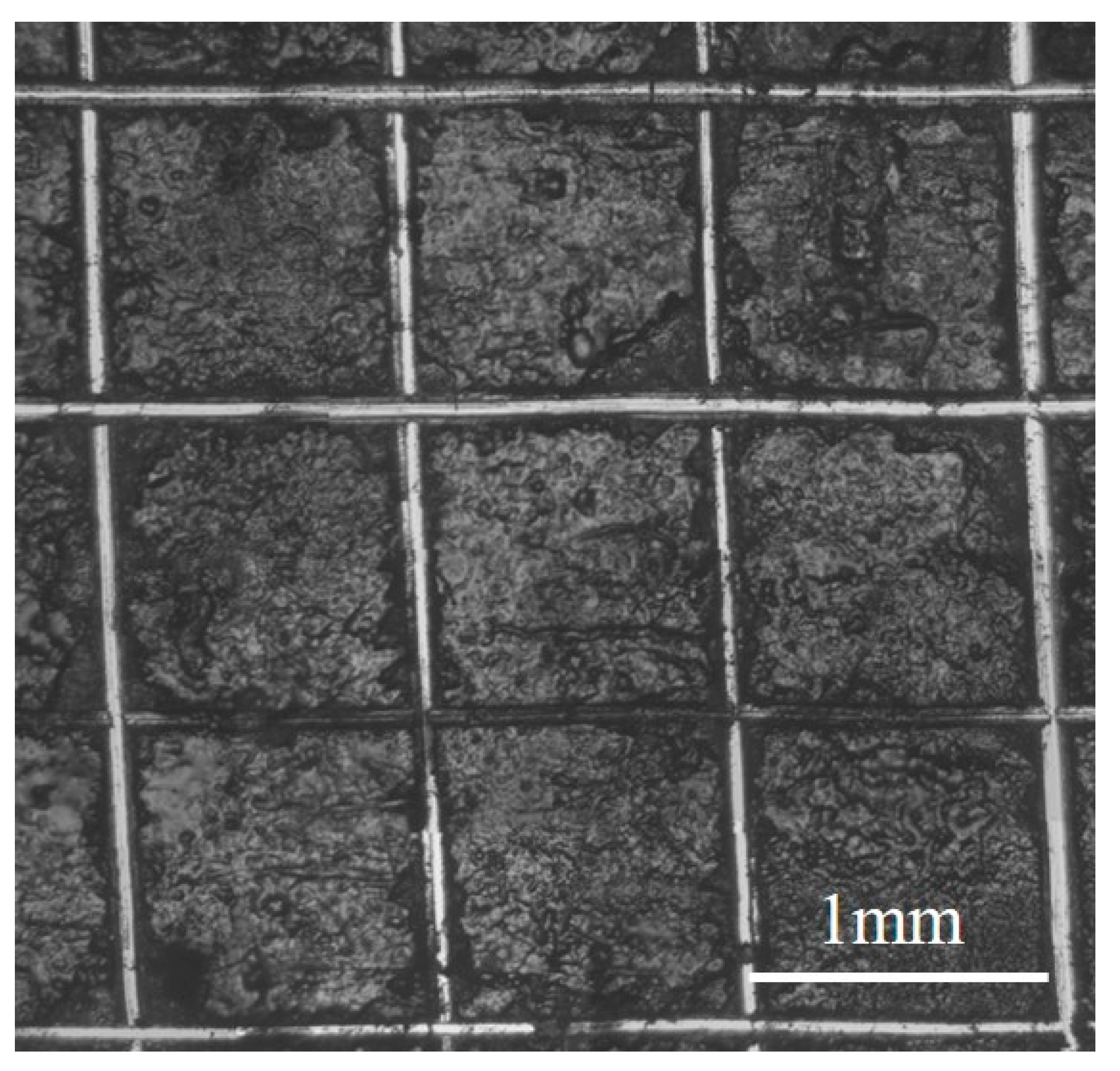 Coatings 11 01412 g010